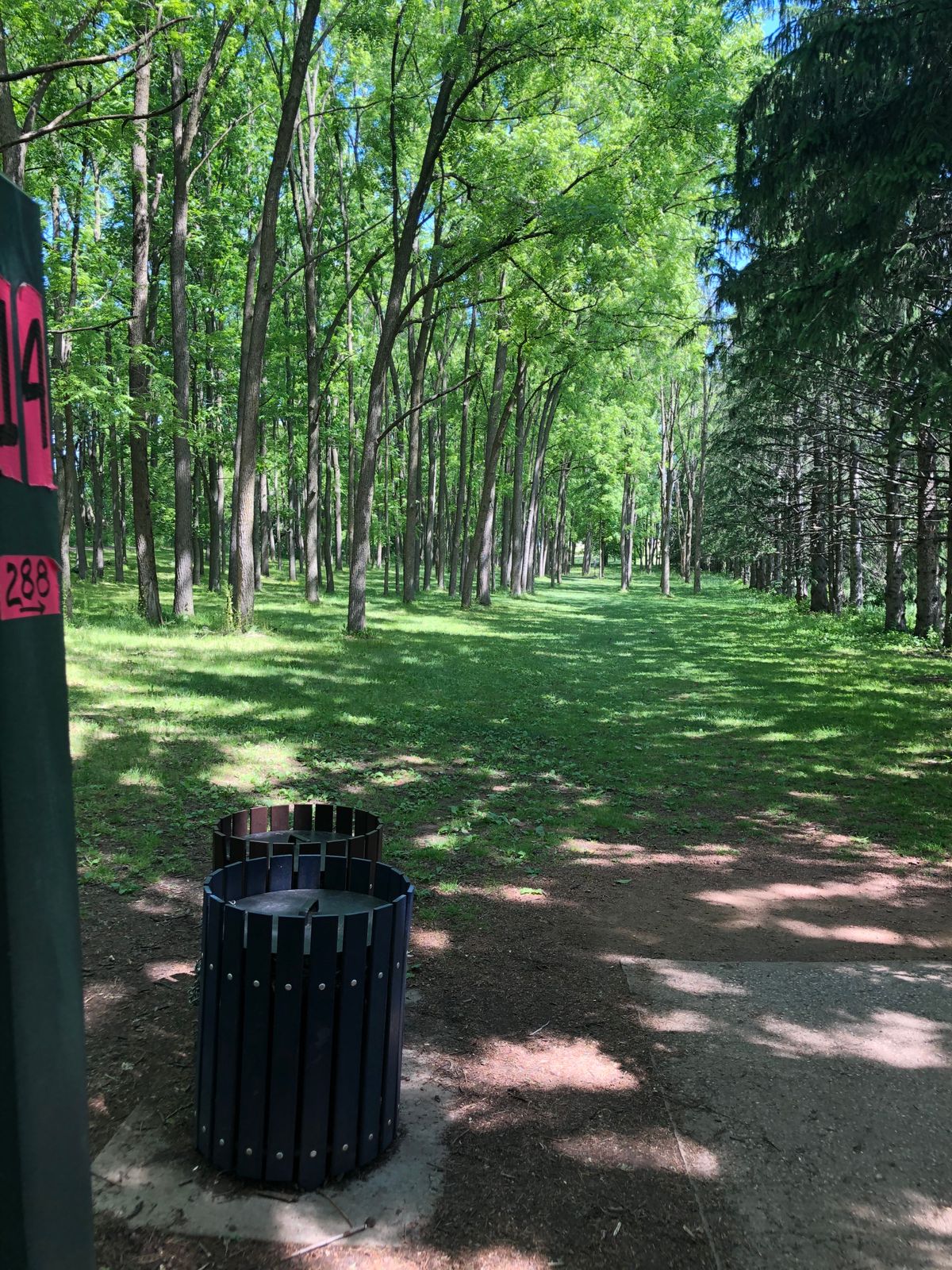 Love the woods holes!