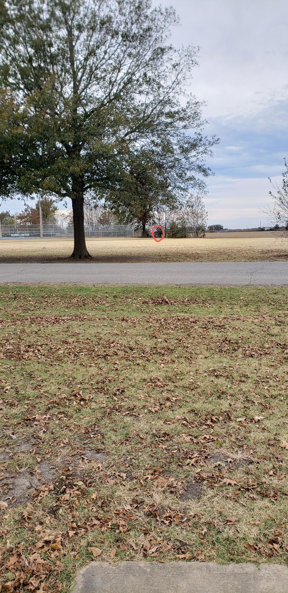 Hole 17