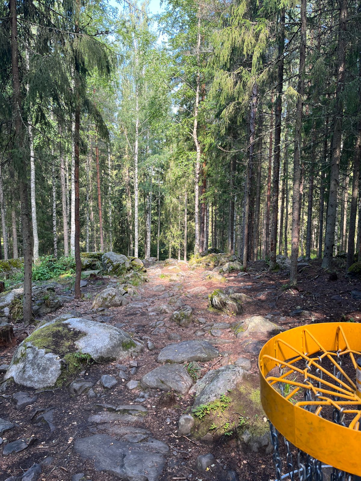 Hole 13, basket to fairway