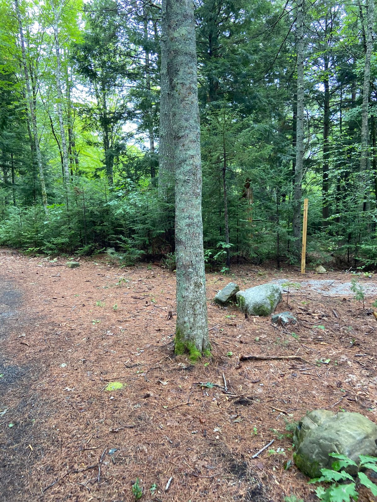 Hole 3 tee box