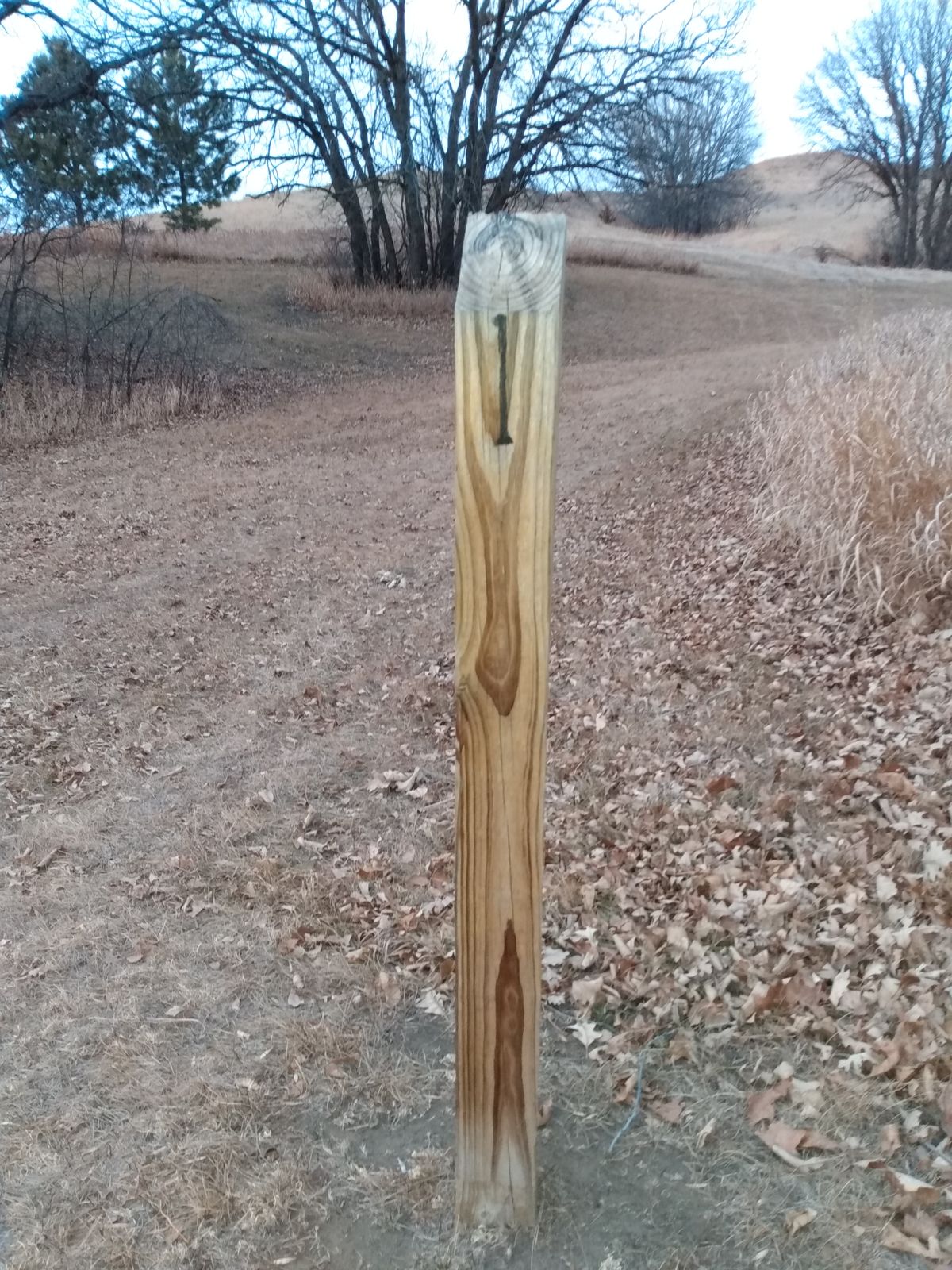 Hole 1