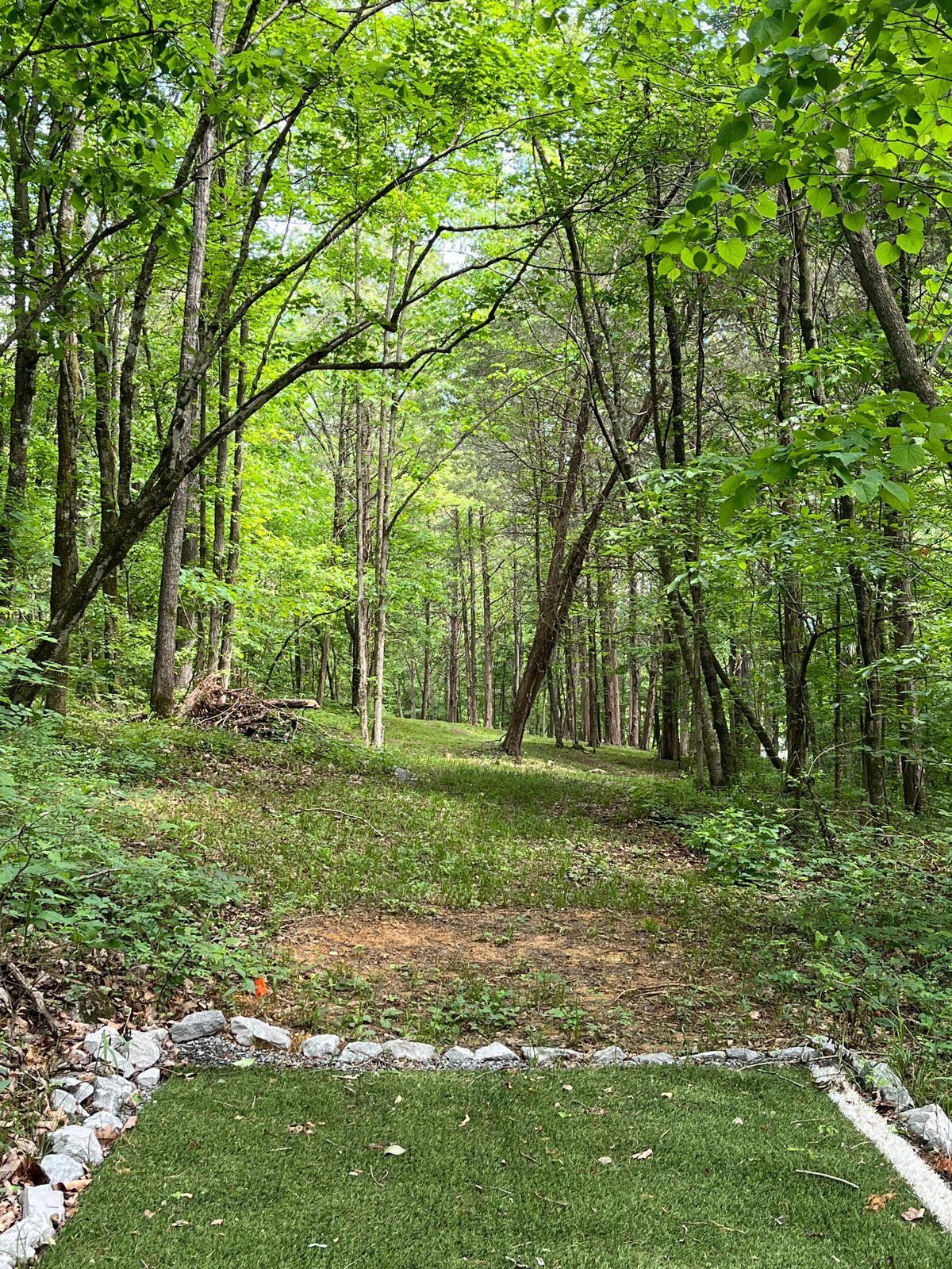 Hole 17 from the tee