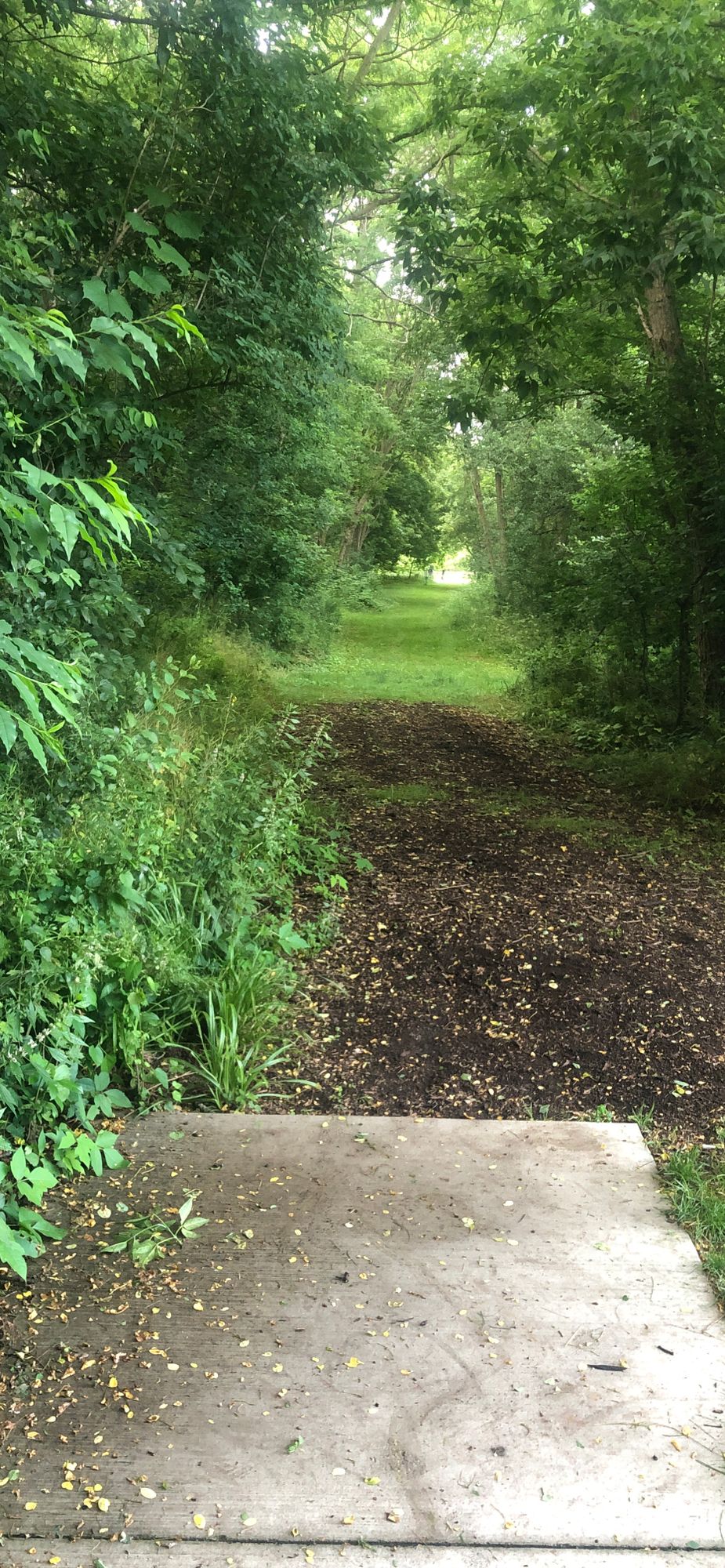Hole 5 (Longs)