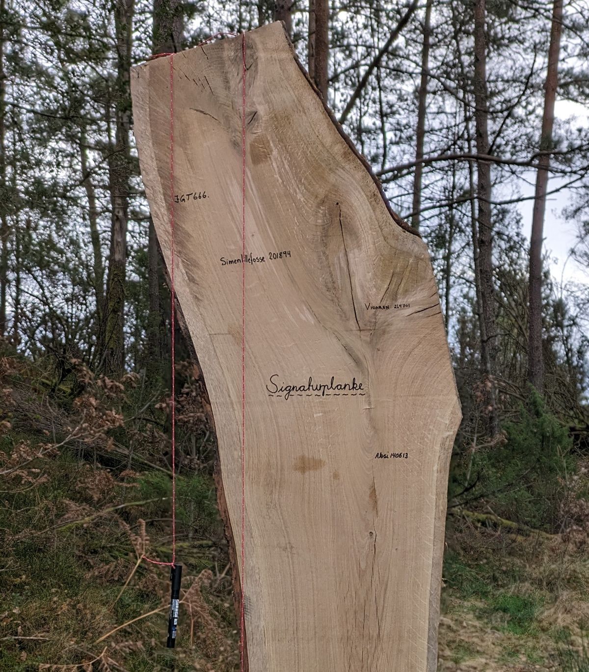 Signaturplanken for alle nye spelarar!