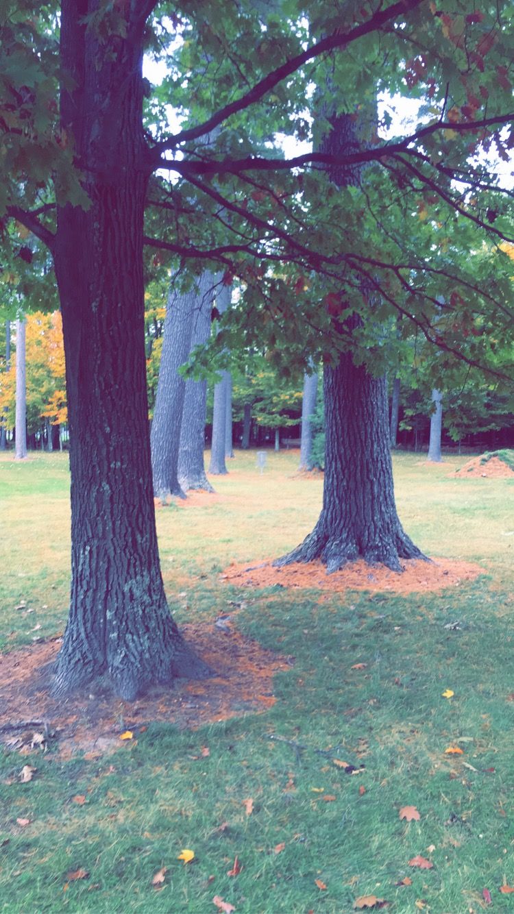 Hole 14.