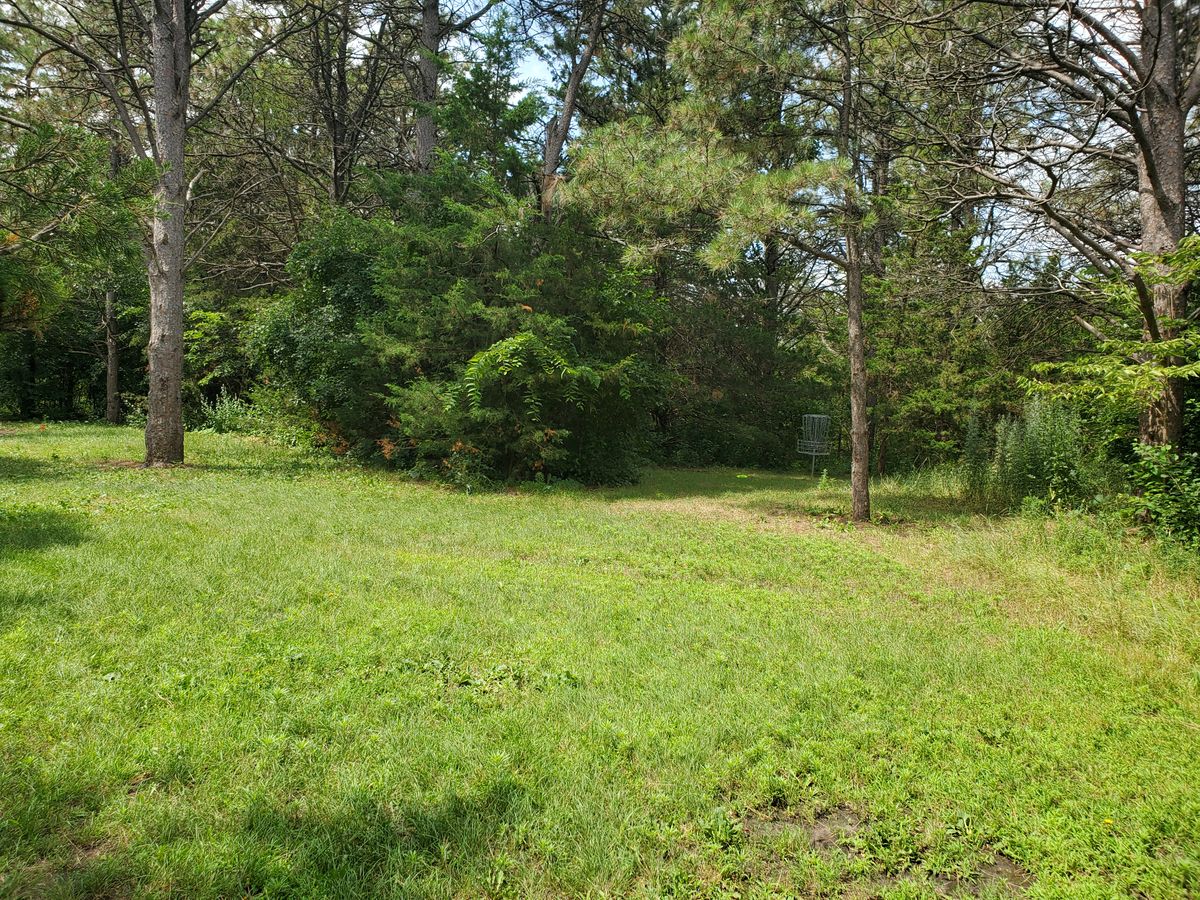Hole 11 basket