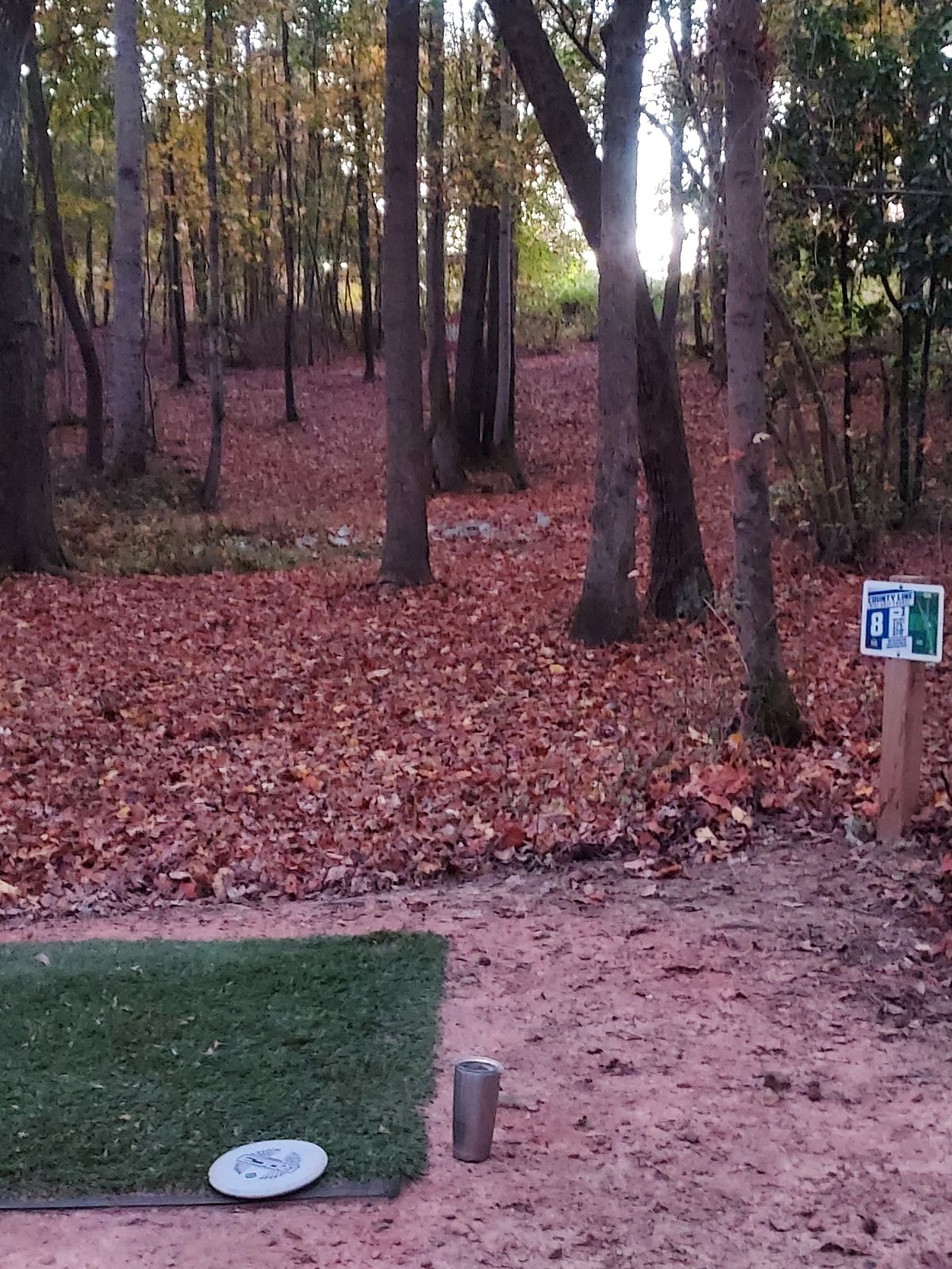 Hole 8 Short