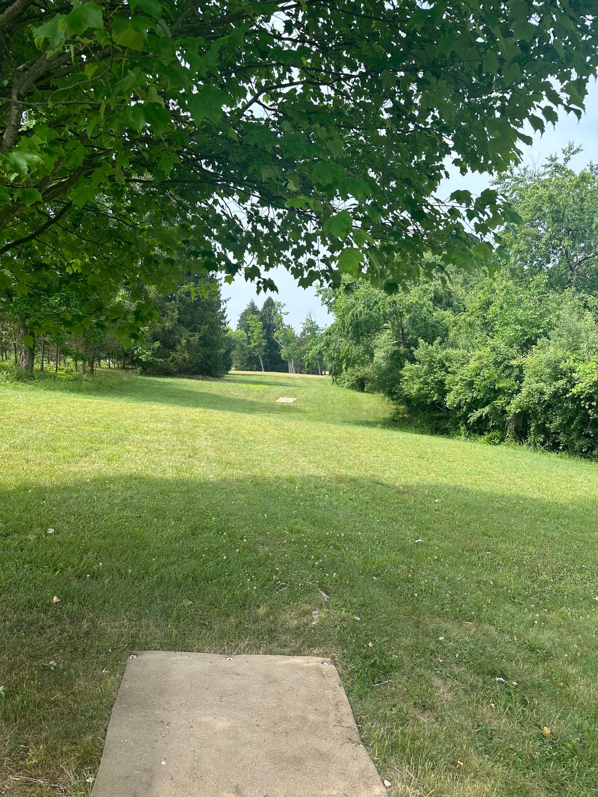 #16 long tee