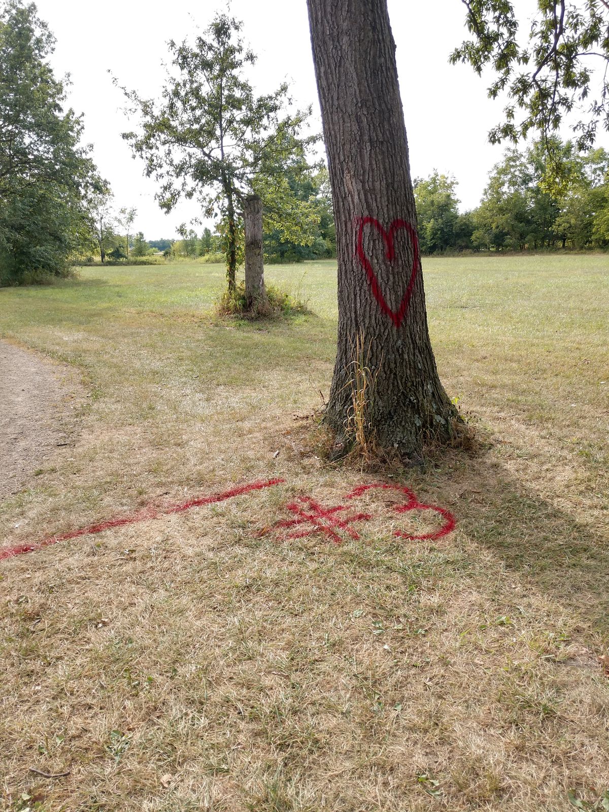 If you have information on who did this please contact the Plain City Police.