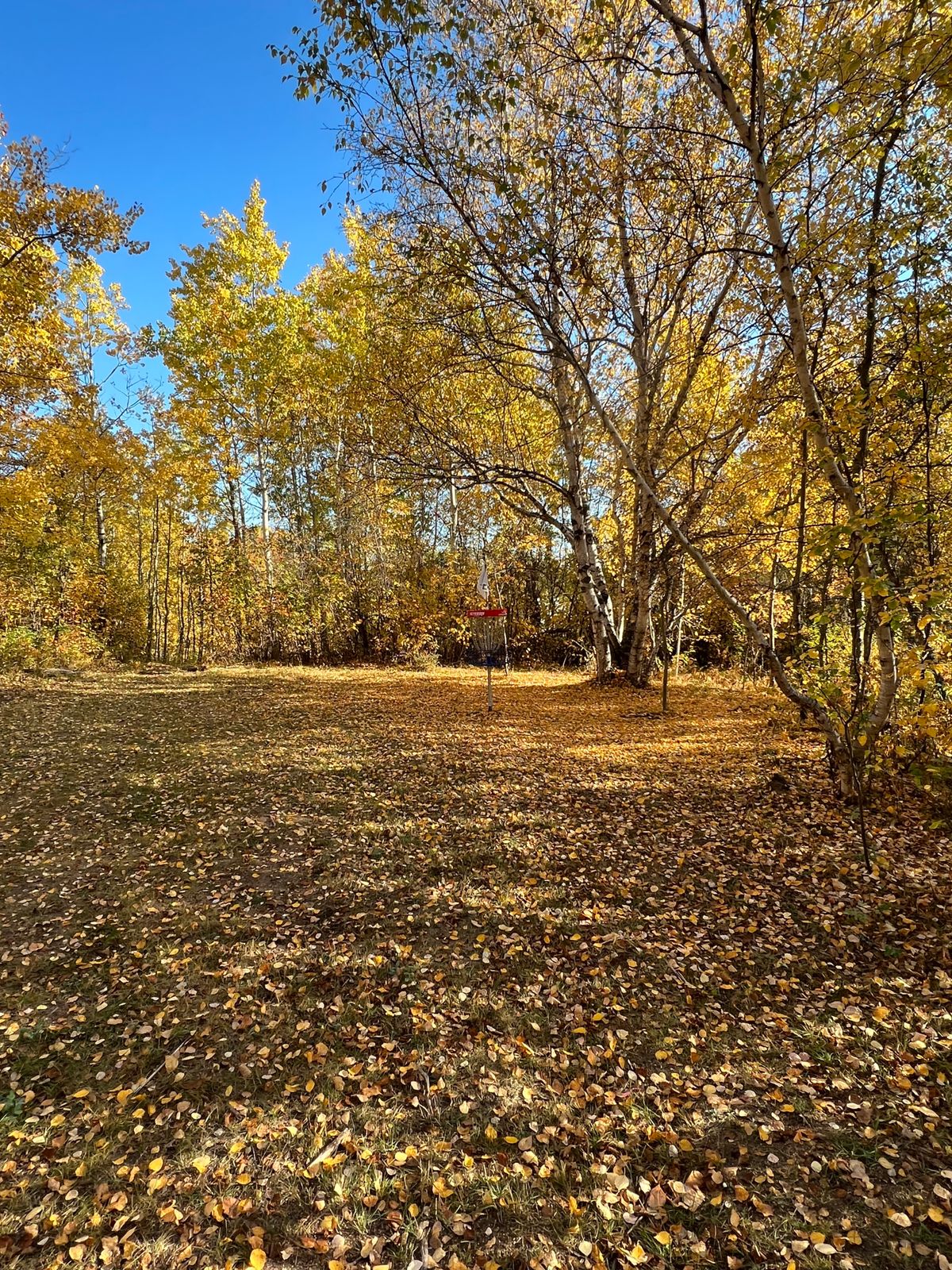 Hole 2 Green