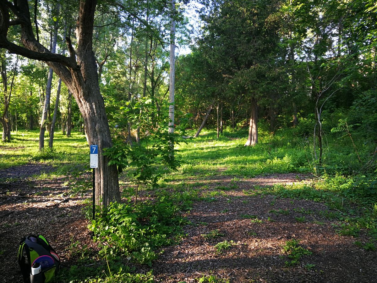 Hole 7 longs, basket way down and on the right