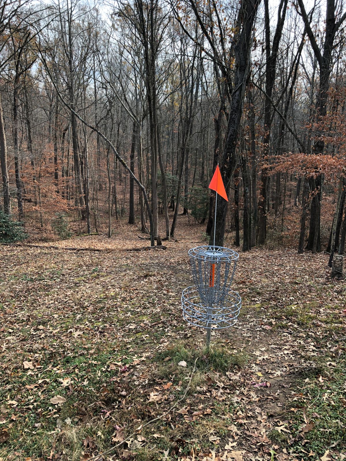 Hole 7 basket (looking downhill toward tee)