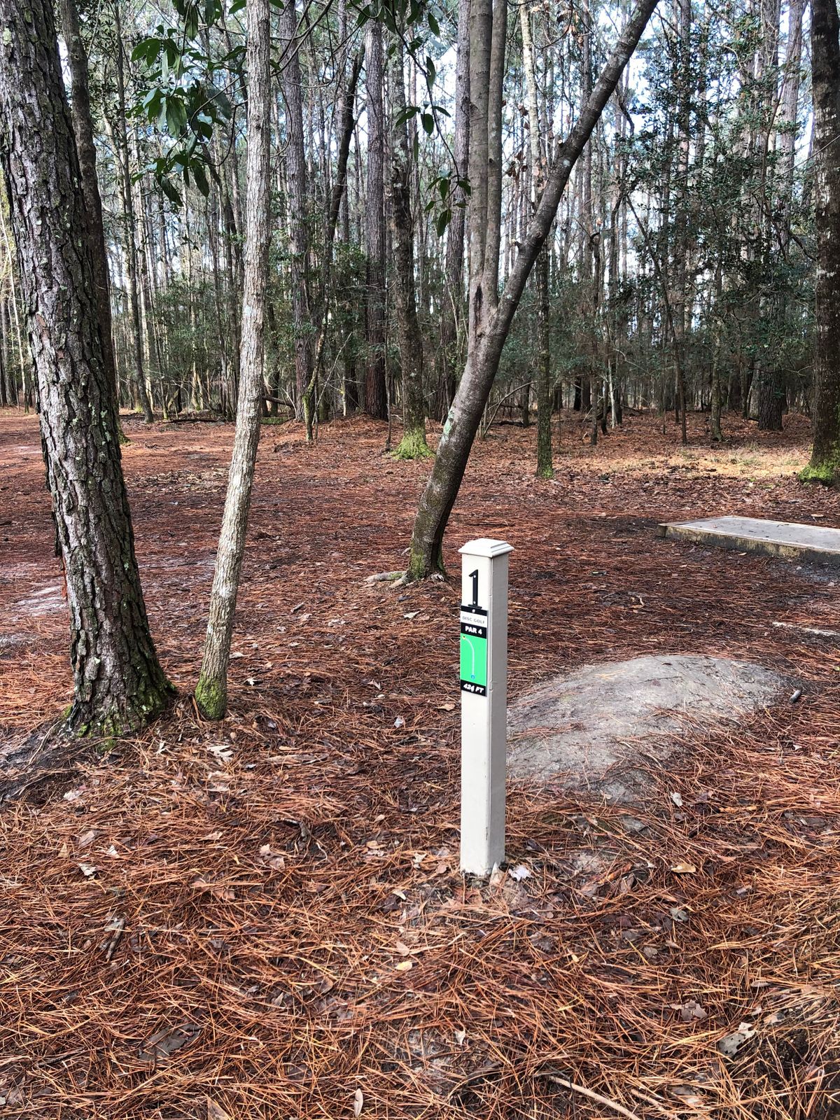 hole 1