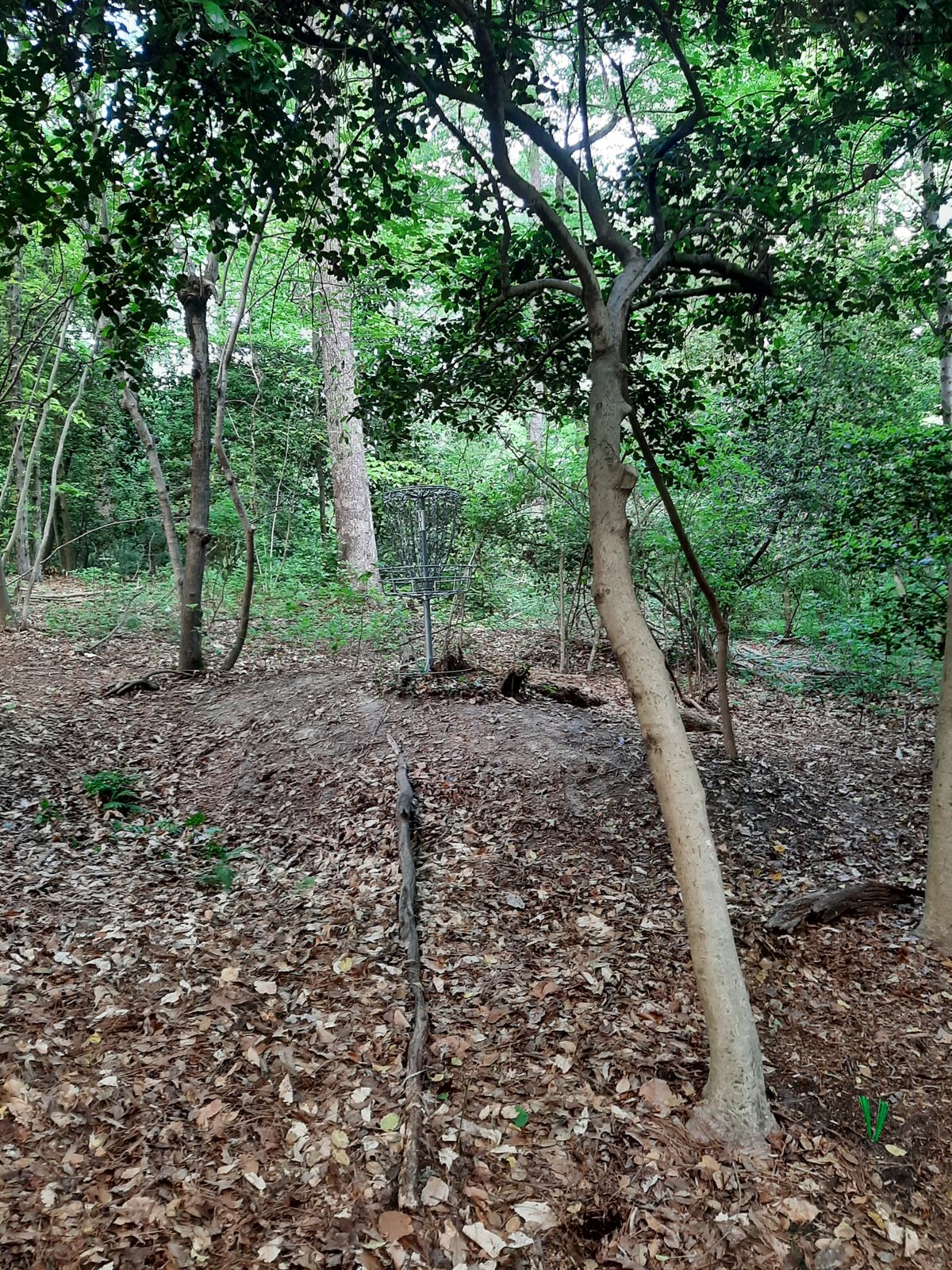 Hole 10 Green B Pin