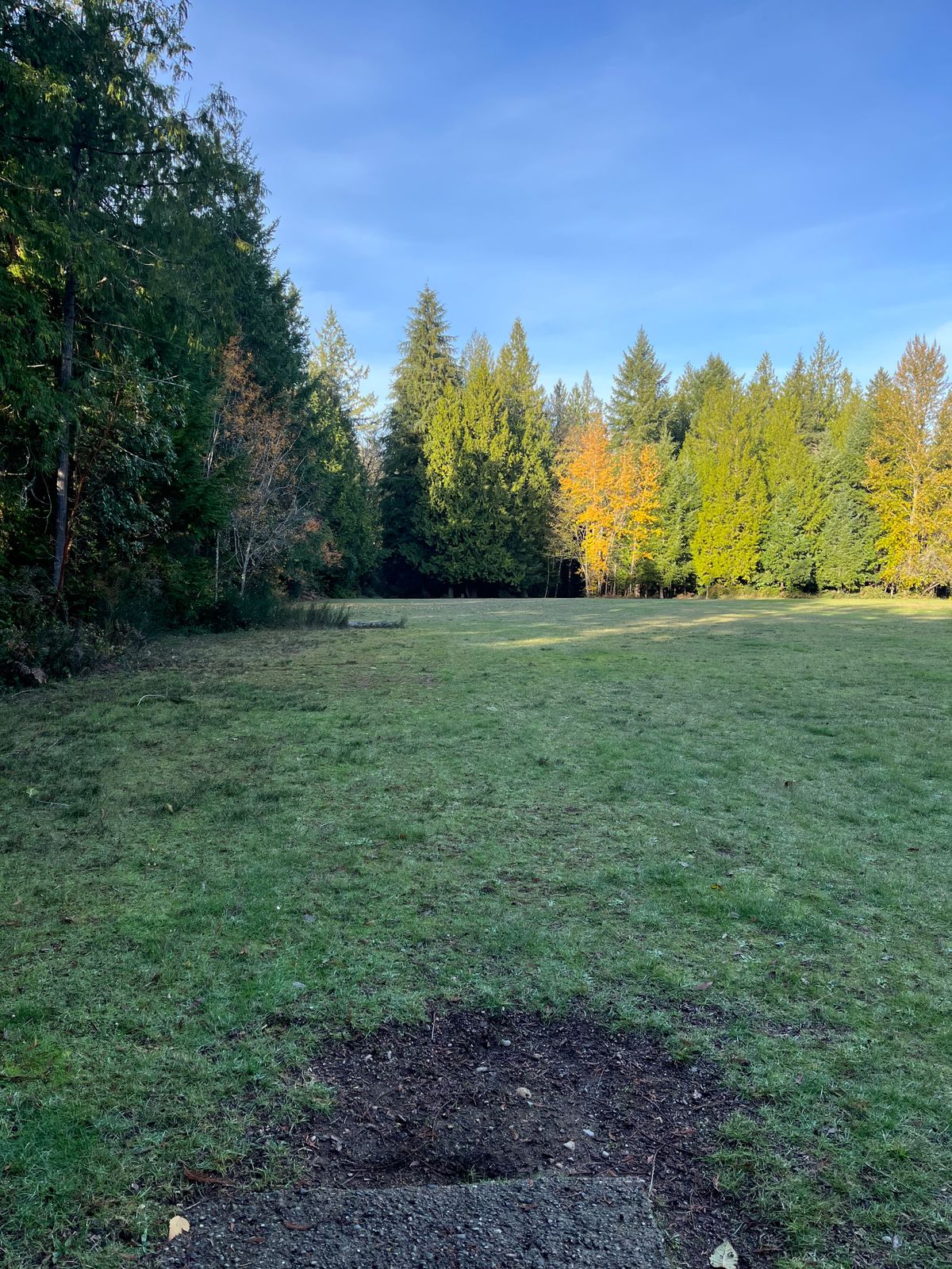 View from Tee of Hole 4