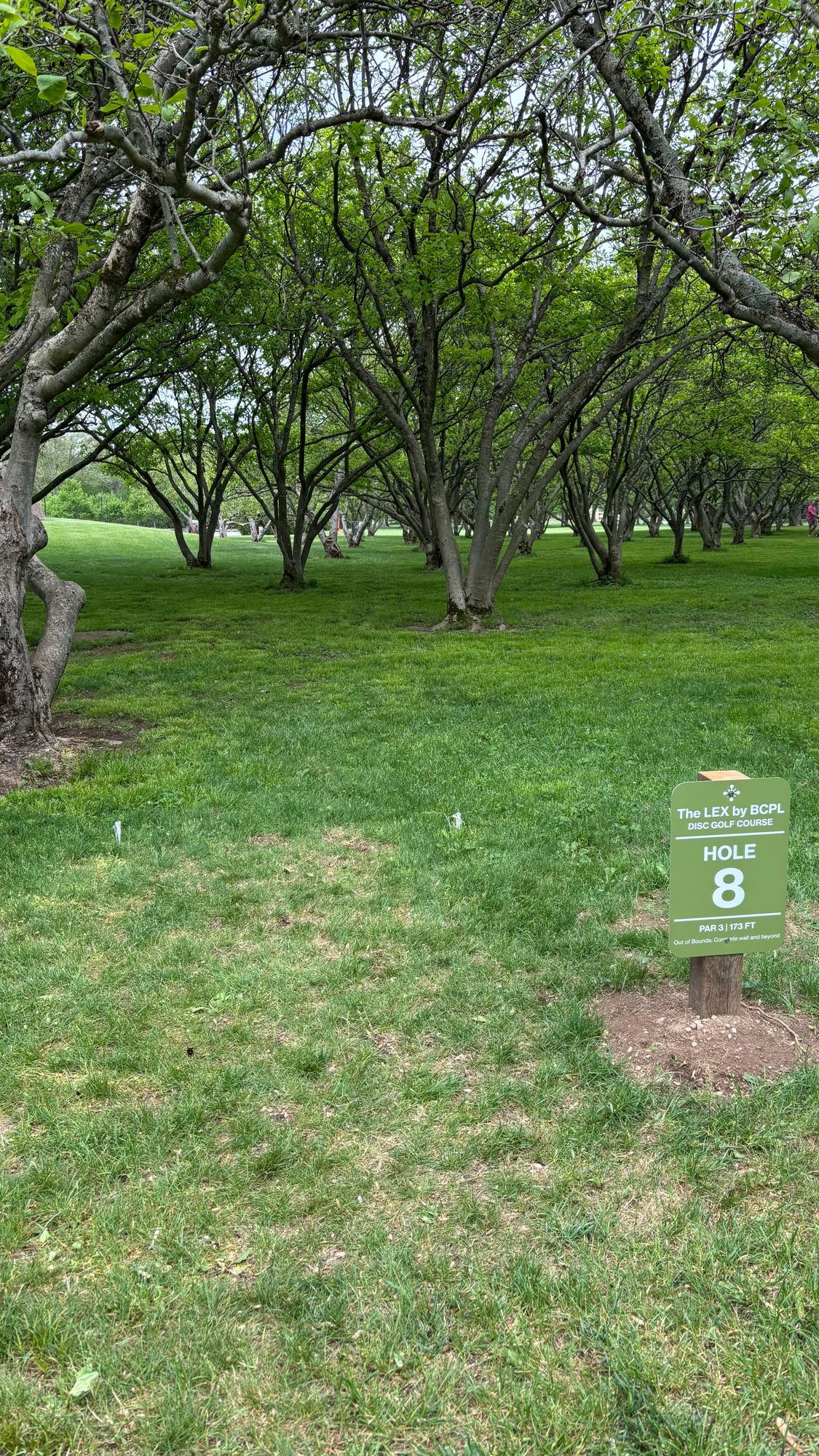 Hole 8 tee
