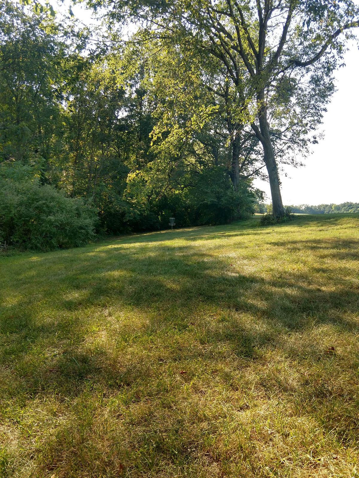 Hole 4