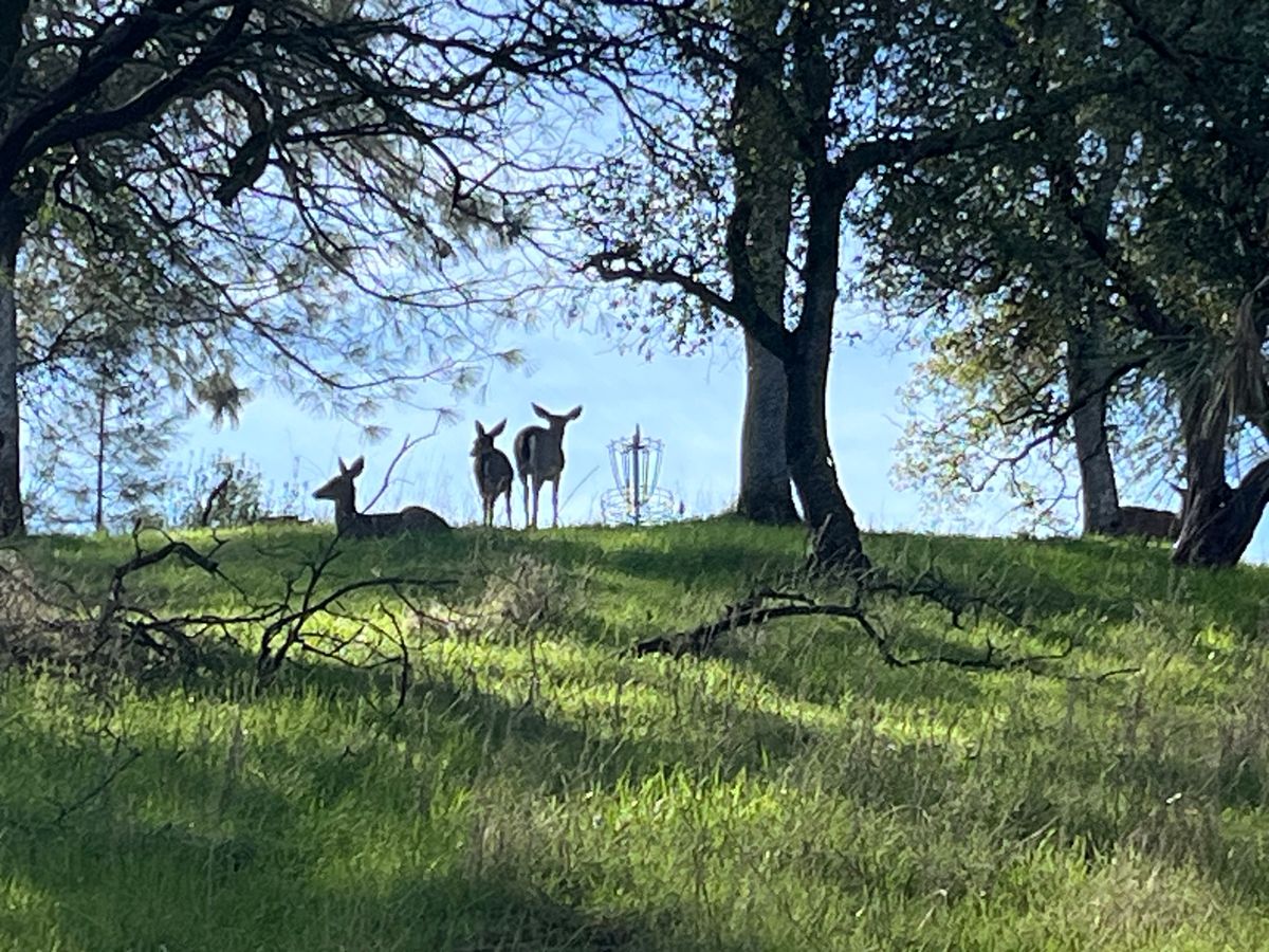 Hole 14