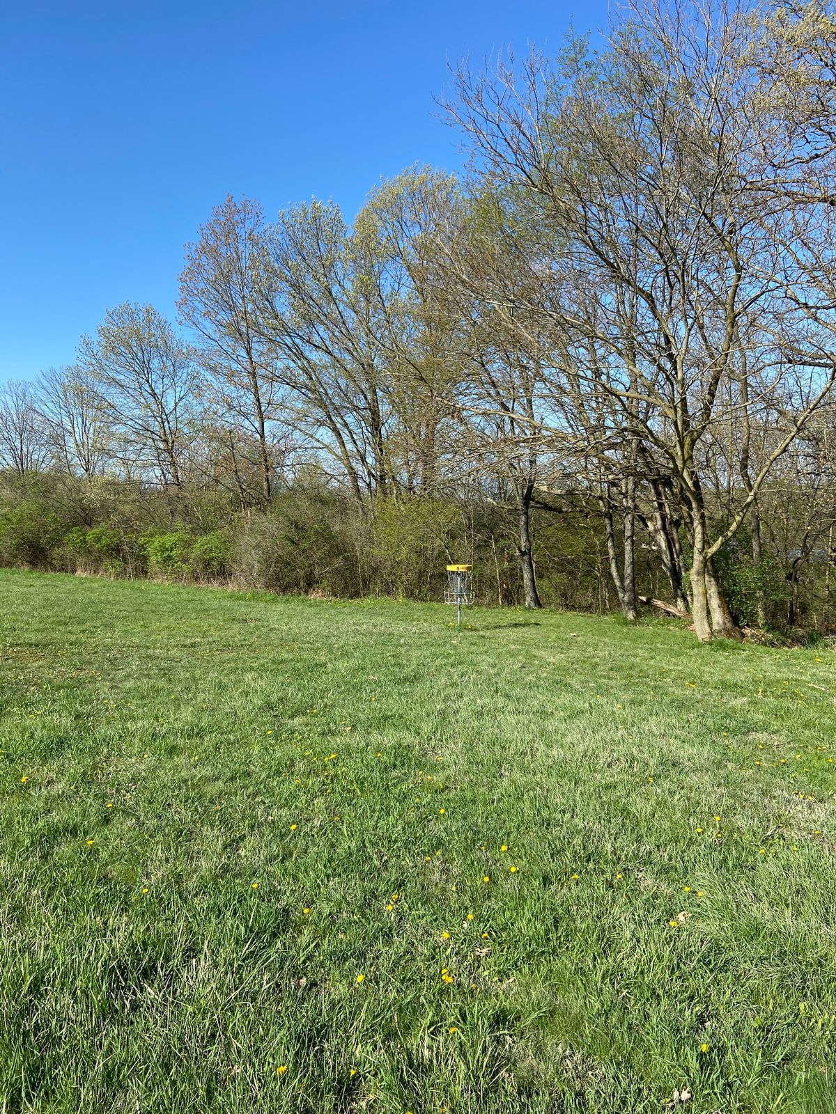 Looking at the pin of hole 5.