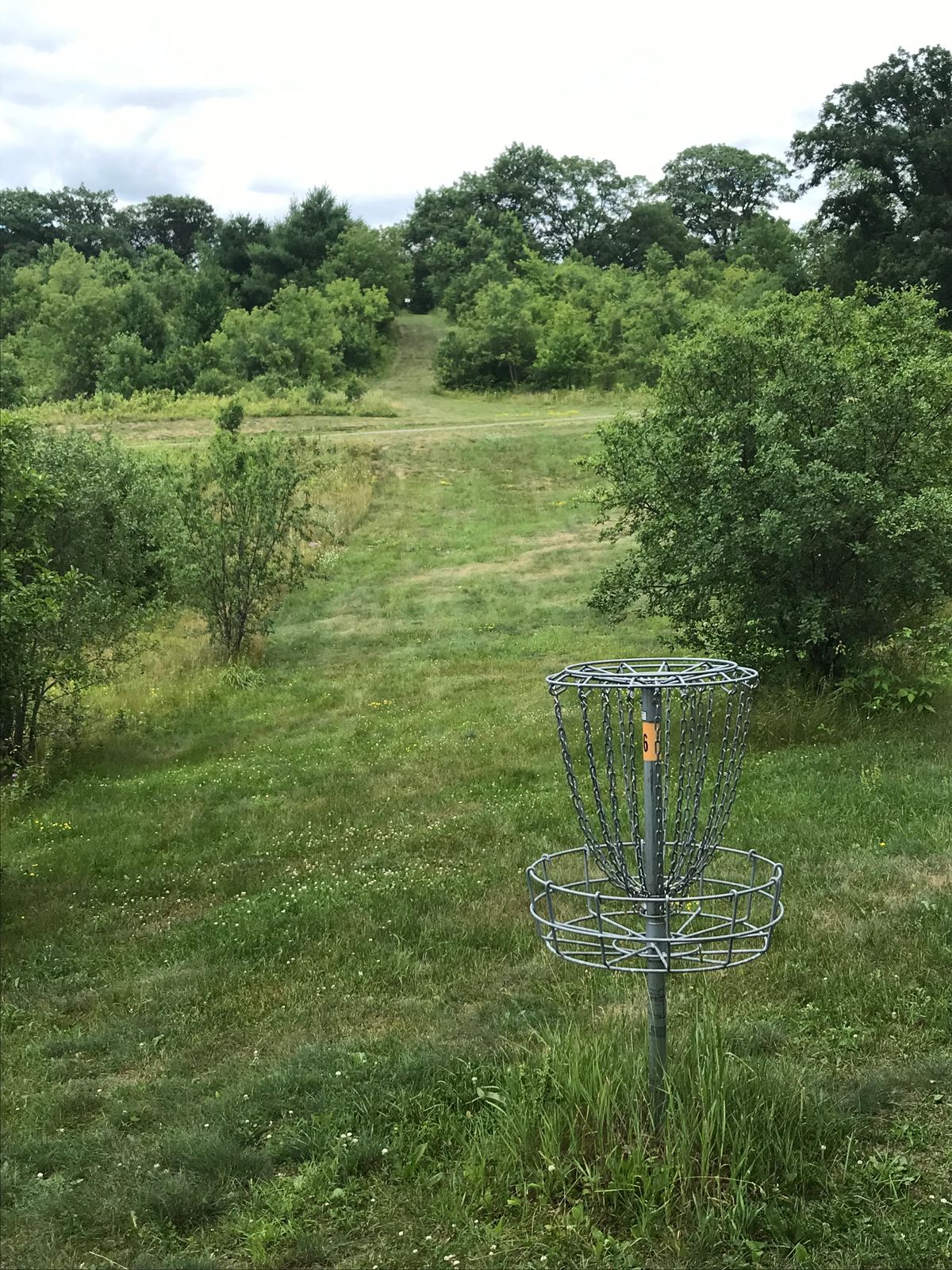 Hole 6 basket