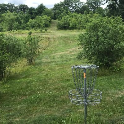 Hole 6 basket