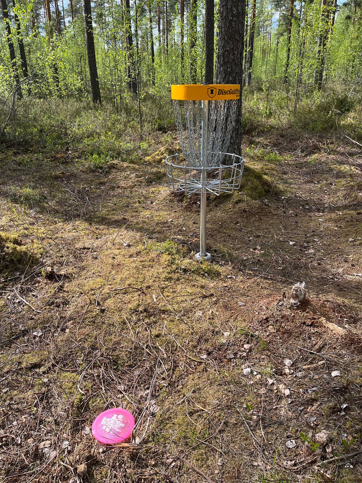 Väylän 6 kori