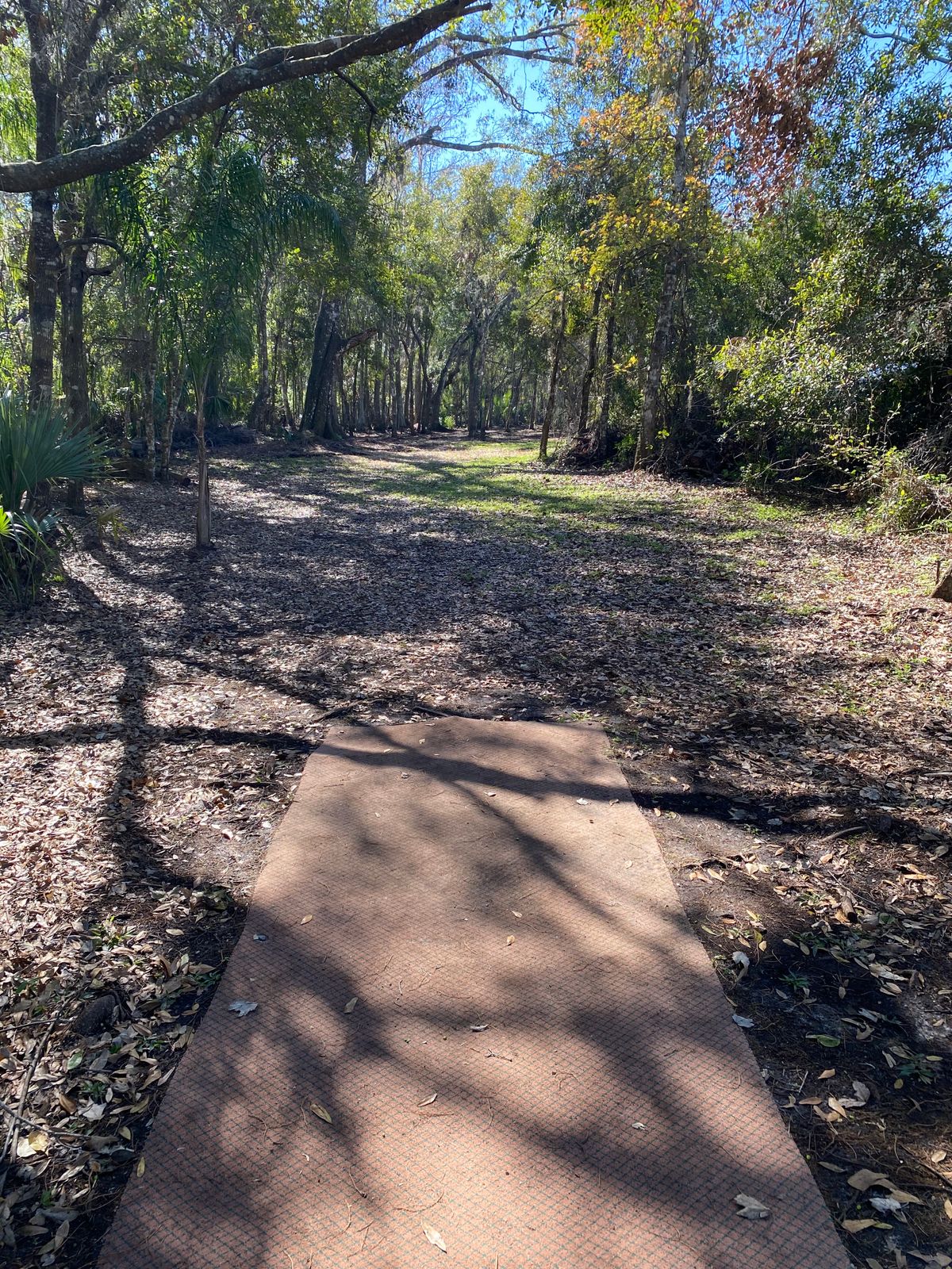 Hole 9 gold tee.