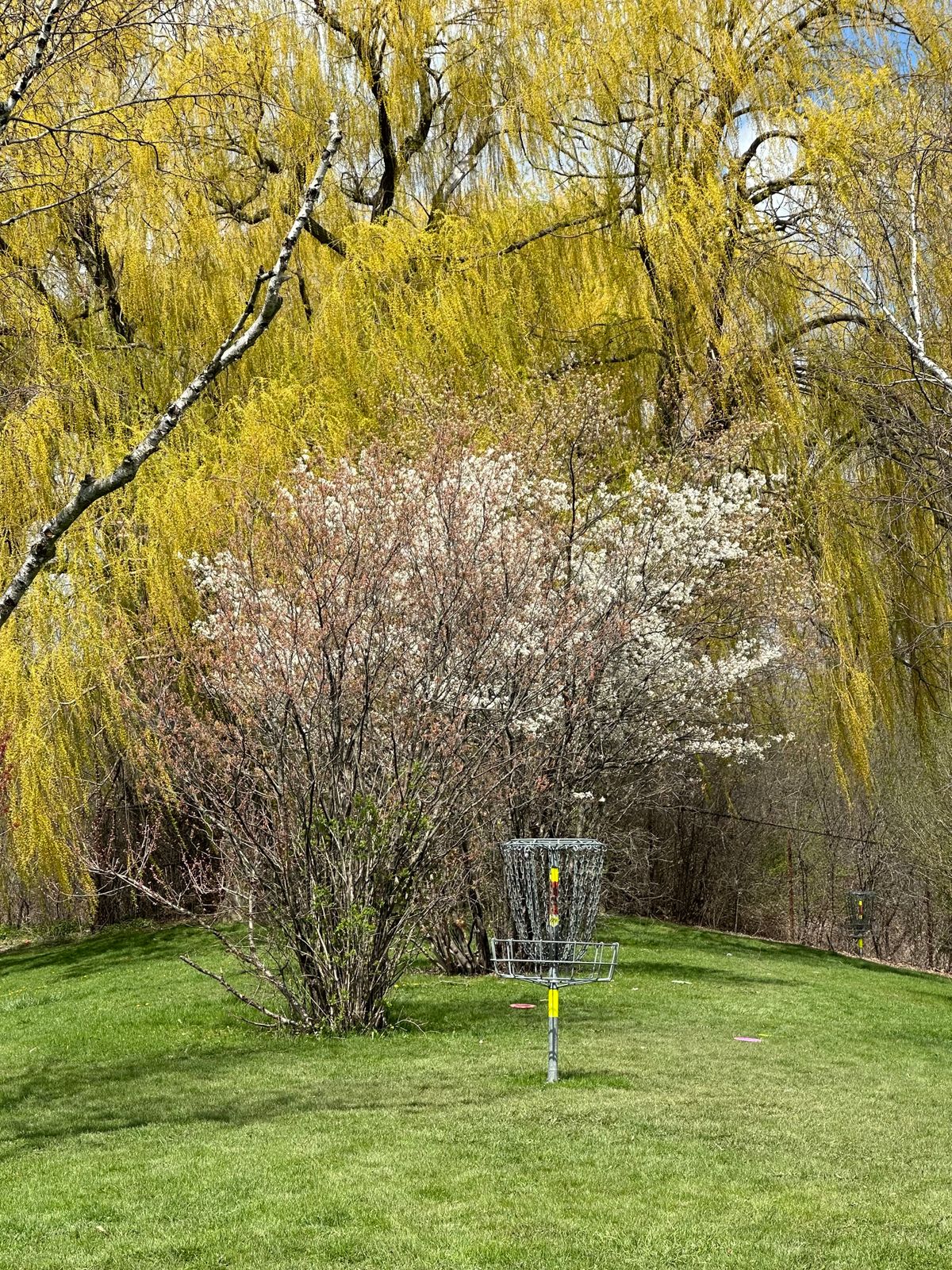 Hole 12 Short and Long (To replace the holes under construction) April 2024