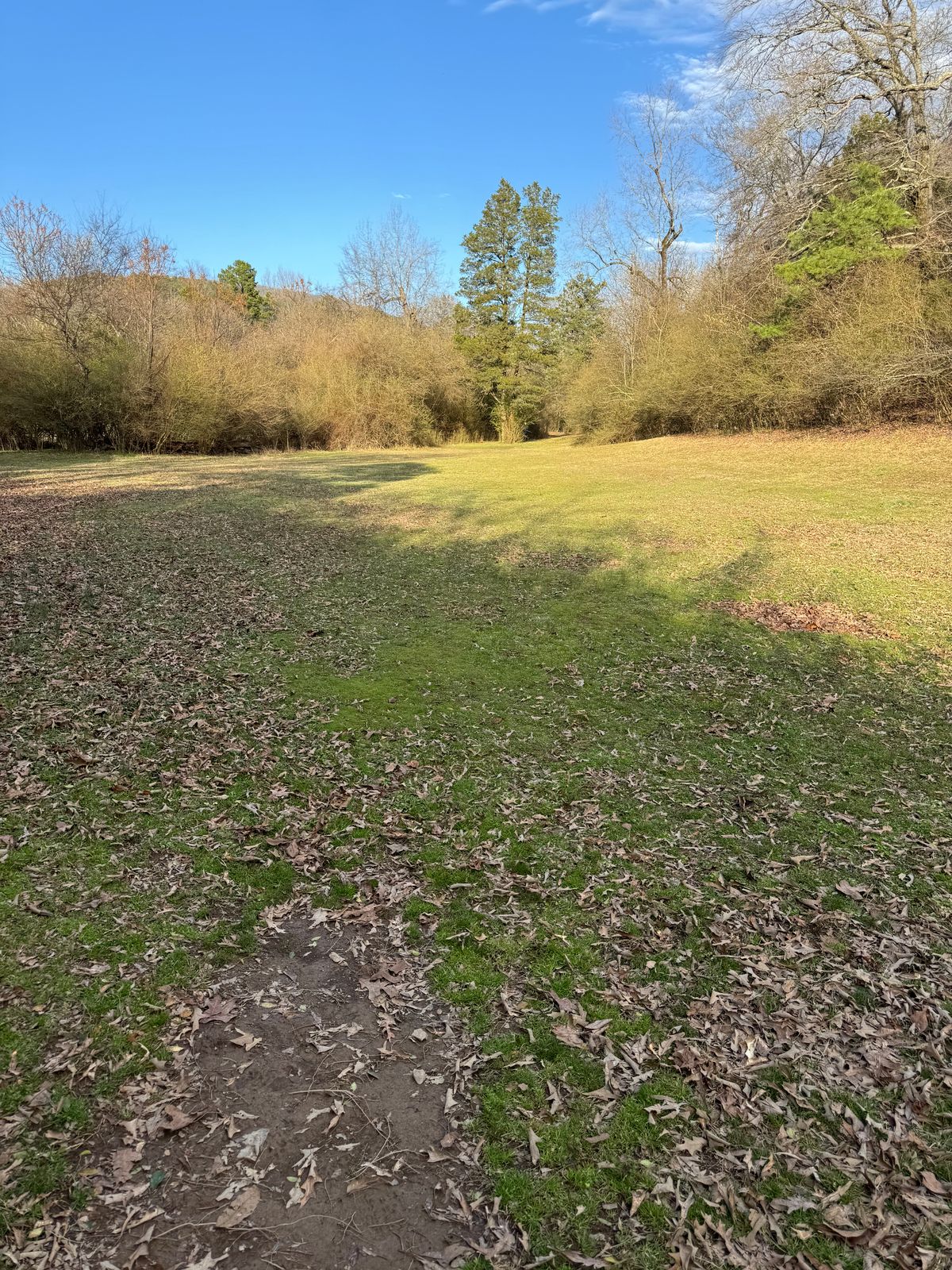 Hole 5
