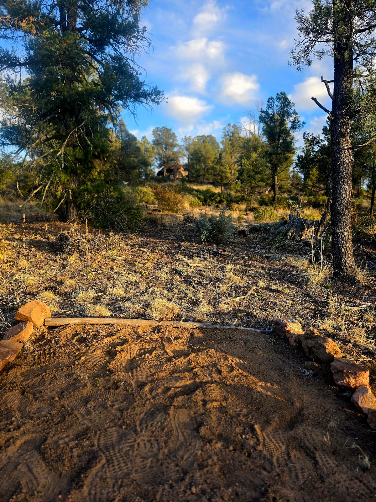 Hole 7 250' par 3