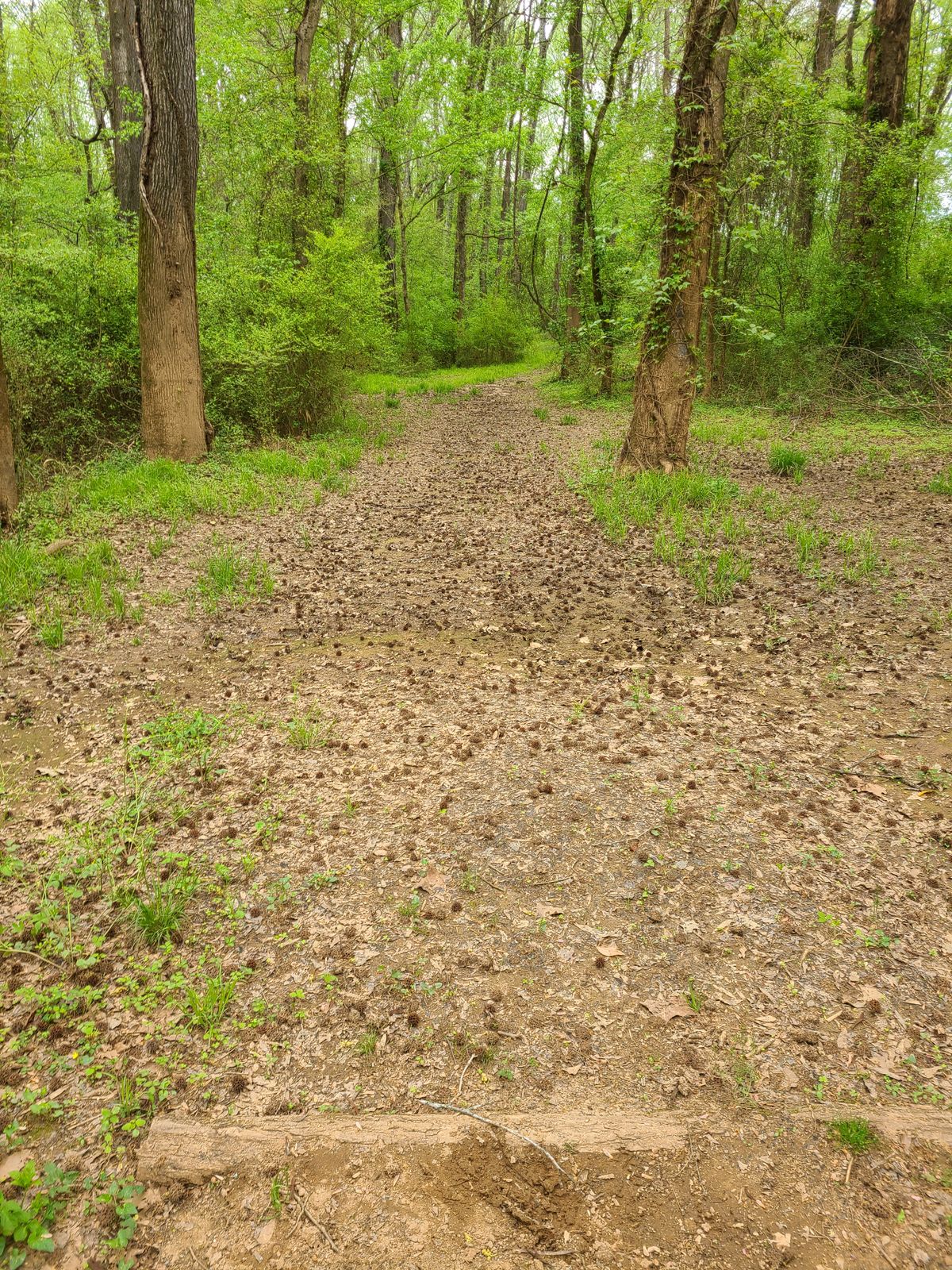 Hole 17 from tee