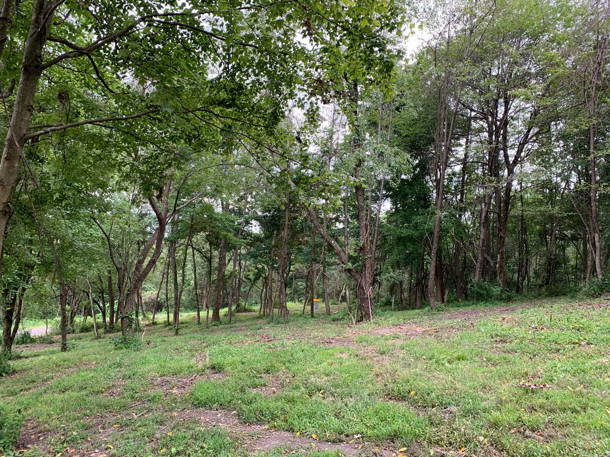 Hole 8C pin approach