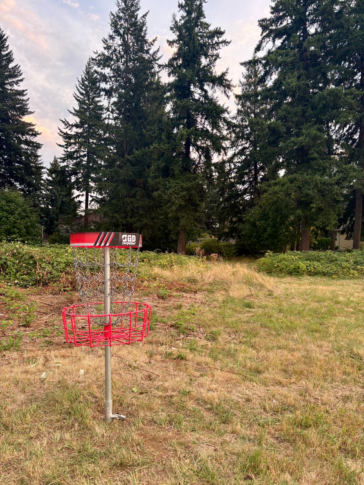 Hole 3 From Basket