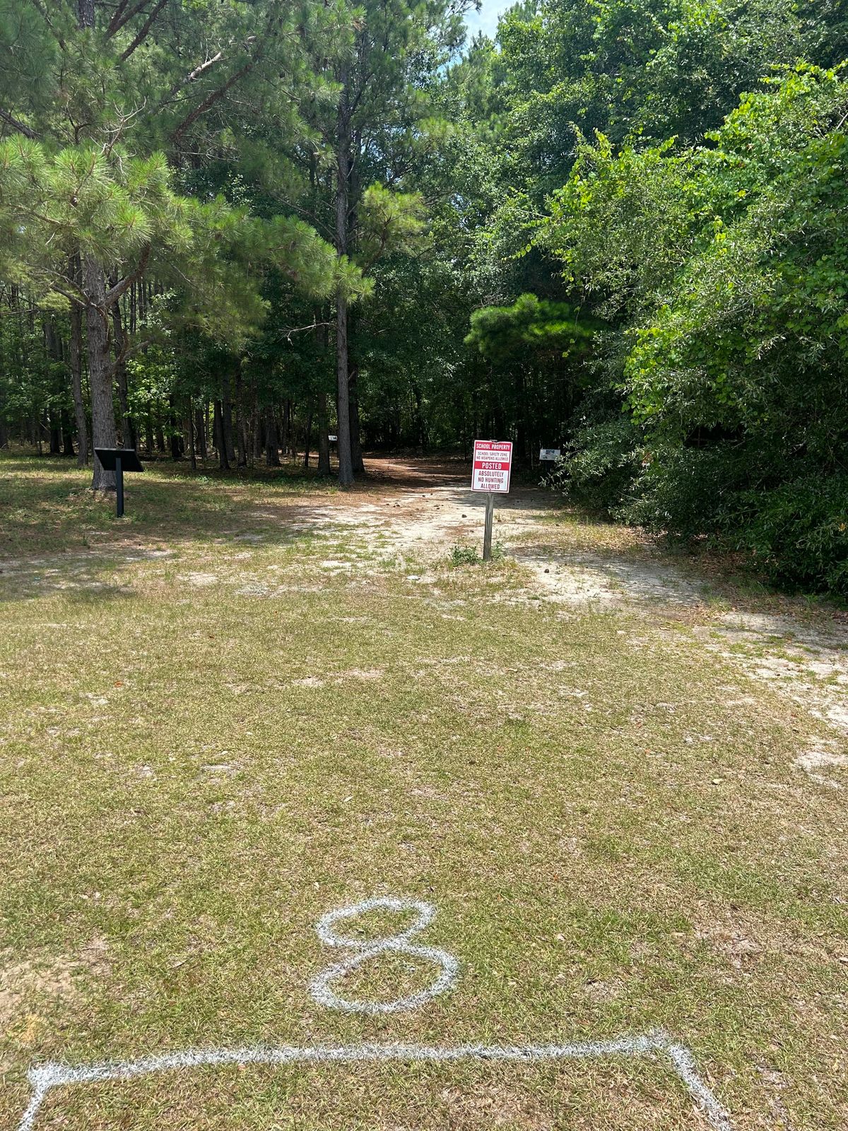 Hole 8 tee pad
