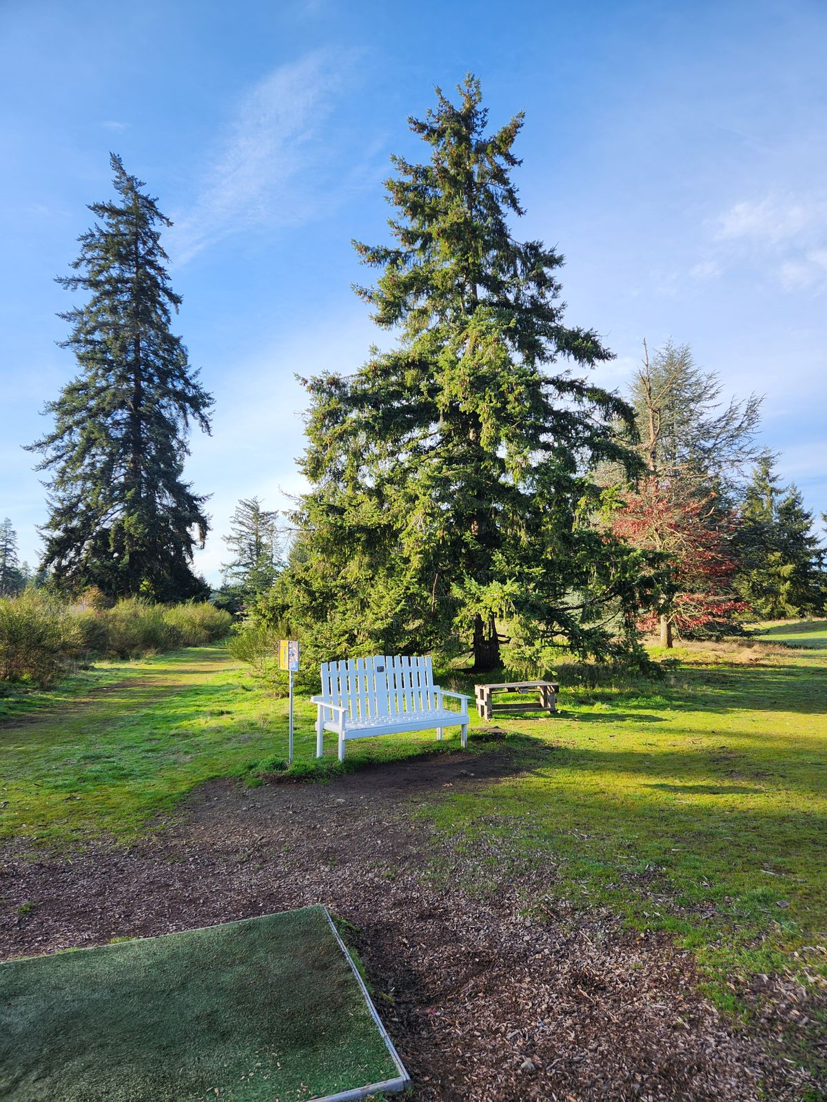 Bench by hole 5