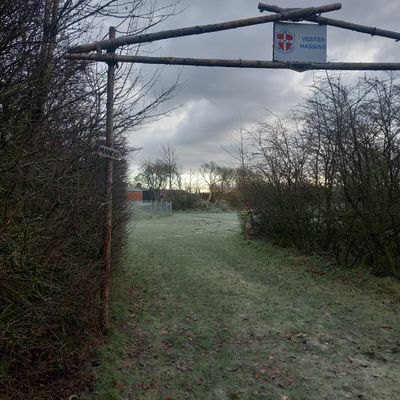 Hole 3 - seen from trible mando to basket