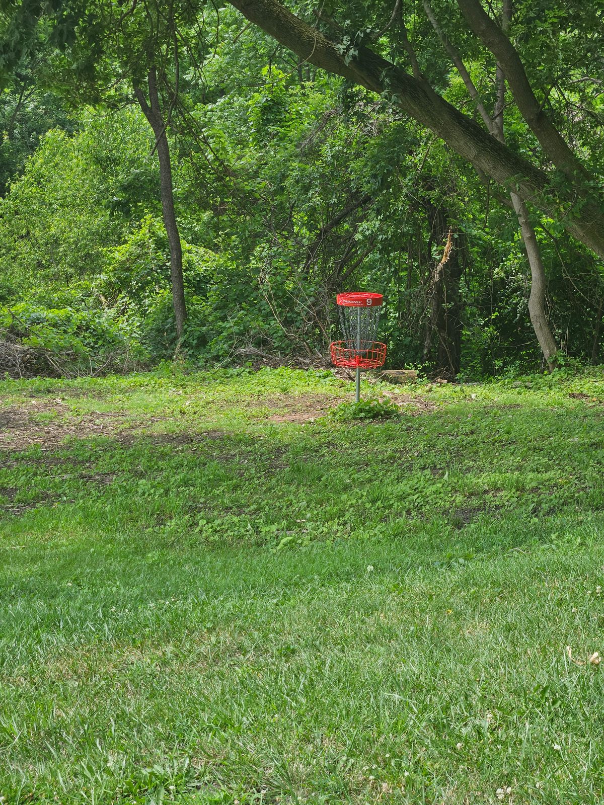 Hole 9
