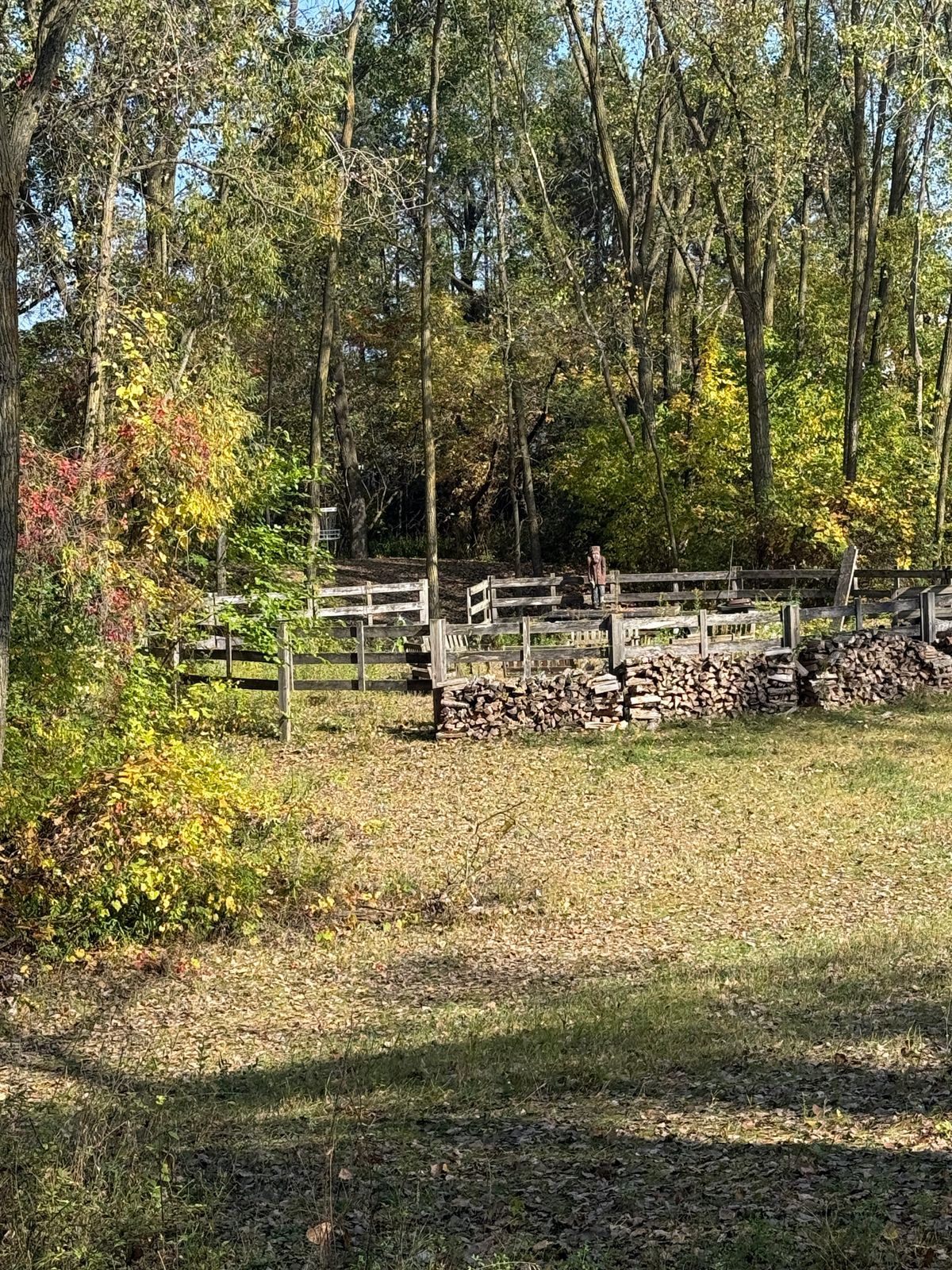 Corral OB