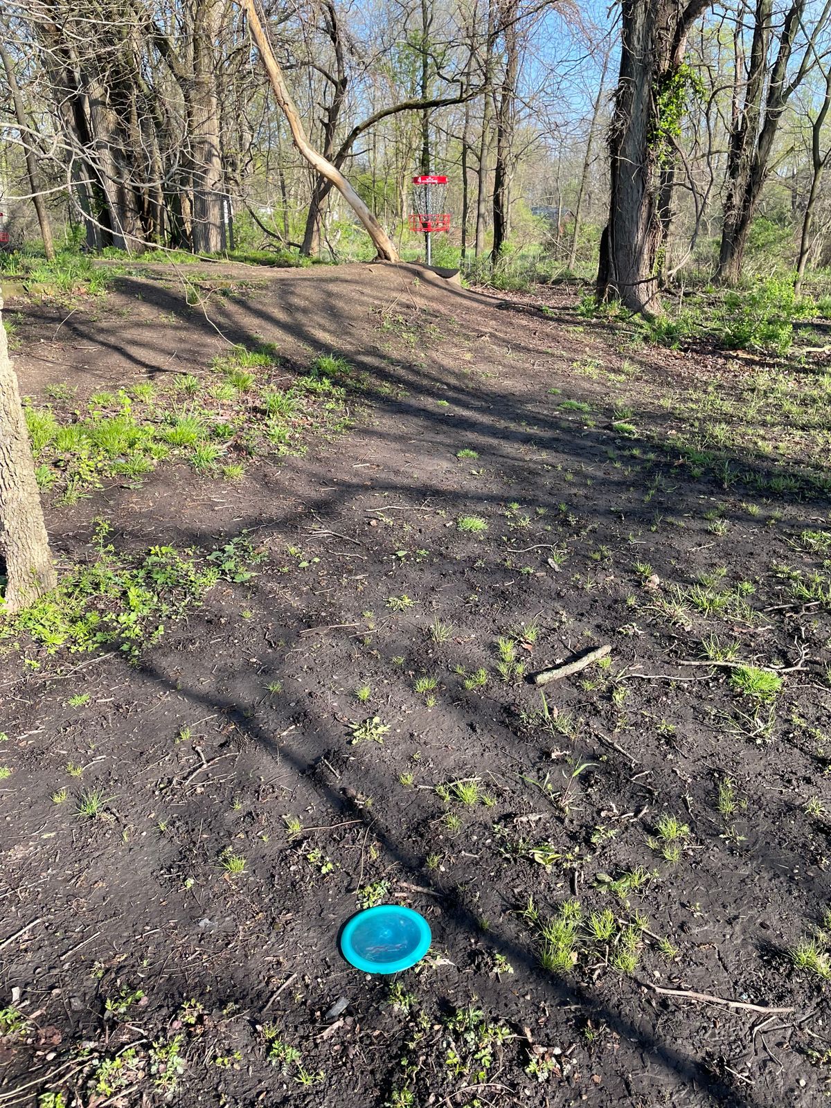 4’s green in the spring