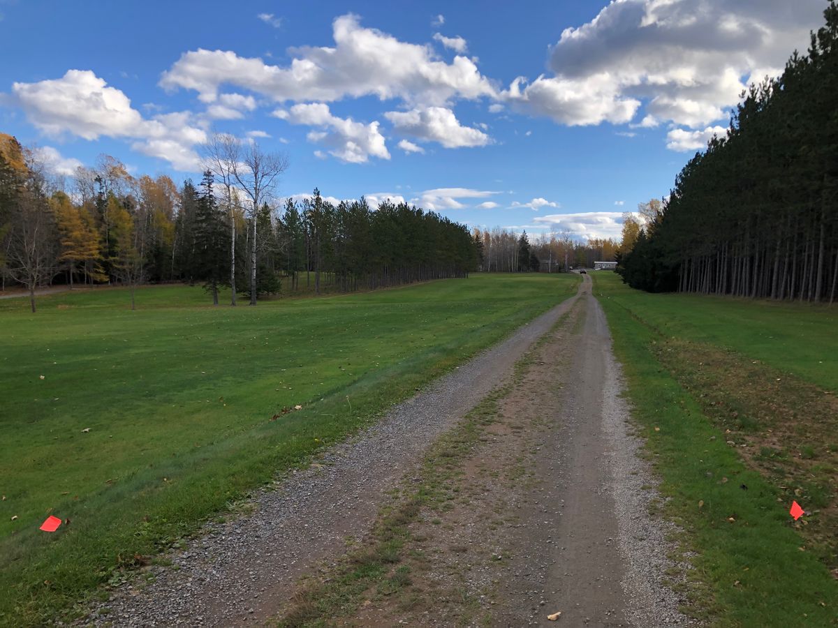 Final tee