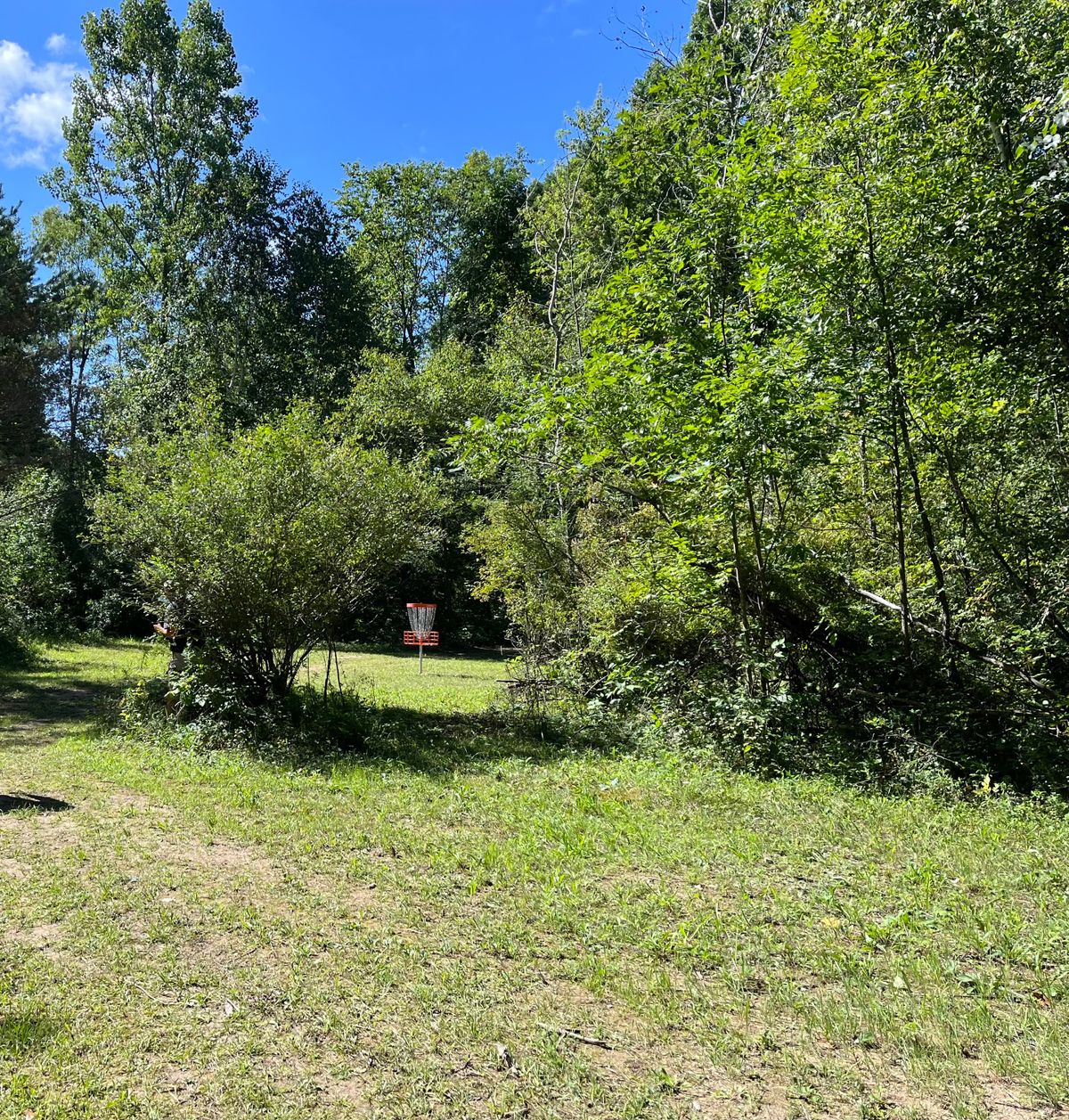 Hole 11 approach