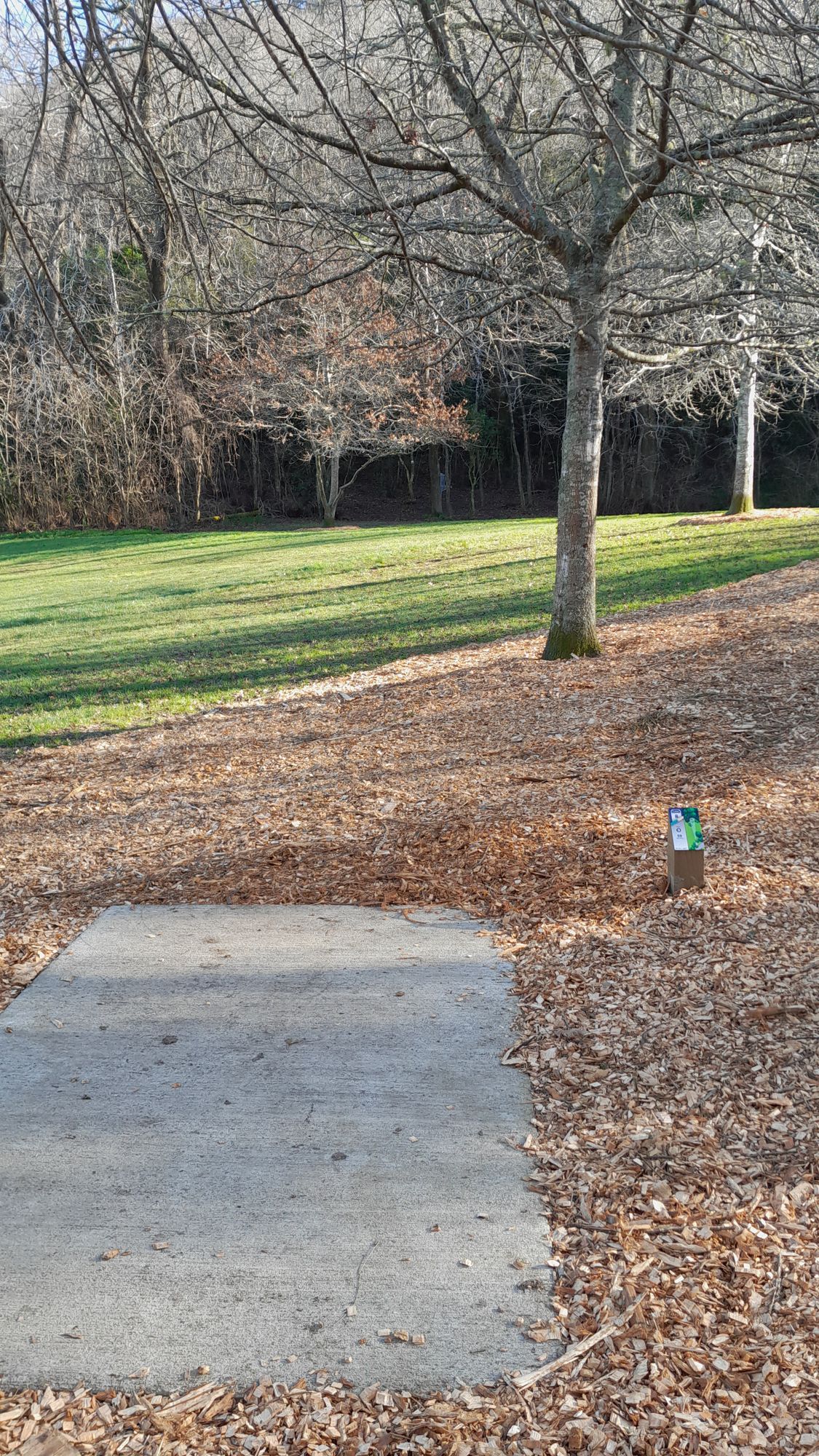 Hole 8 tee