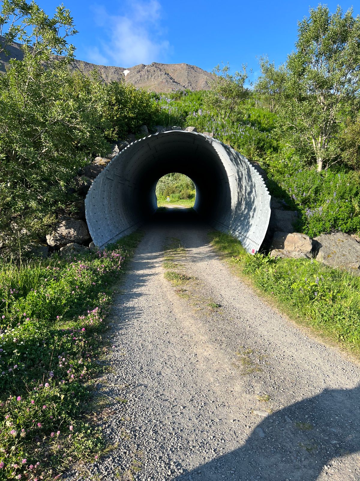 Cool tunnel shoot