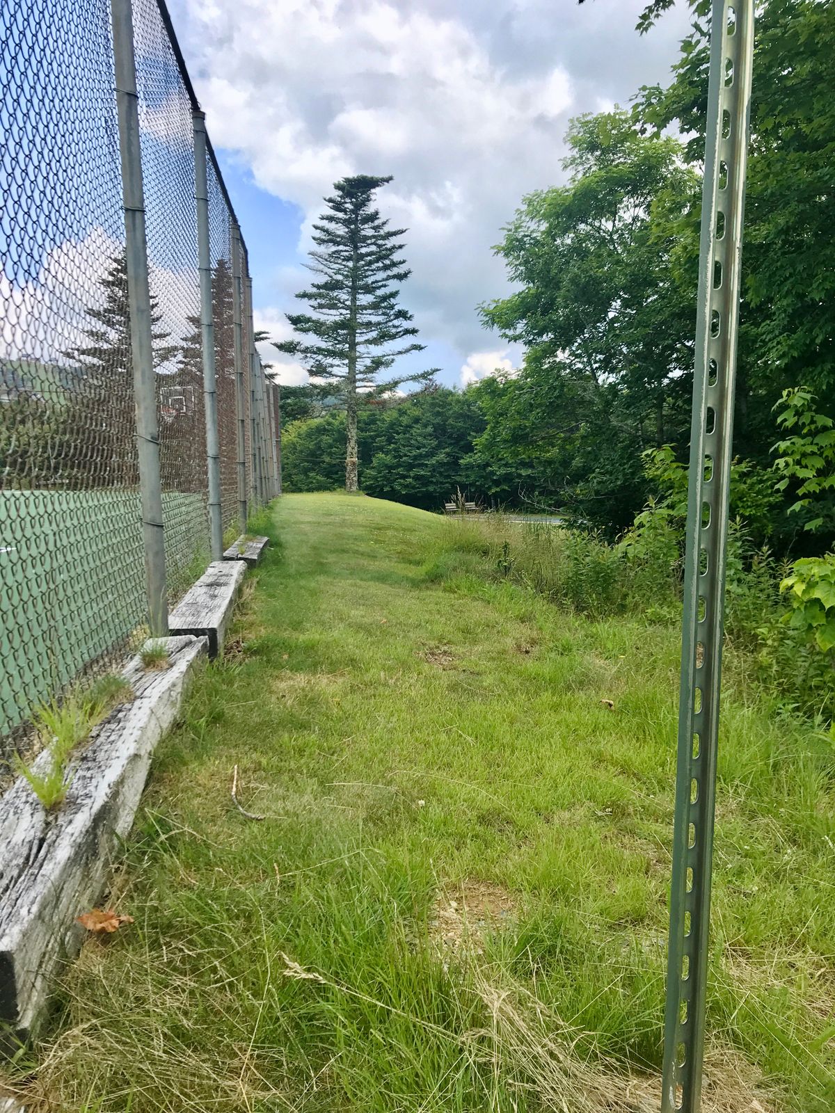 Hole #4 Tee (Basket #3 - Blind Hole - Basket is hard right past tree line on your right side)