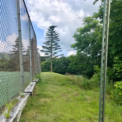 Hole #4 Tee (Basket #3 - Blind Hole - Basket is hard right past tree line on your right side)