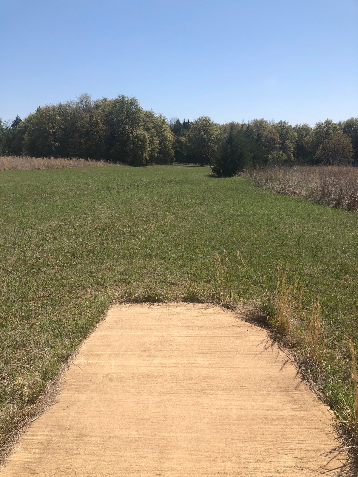 Hole 8 north short tee