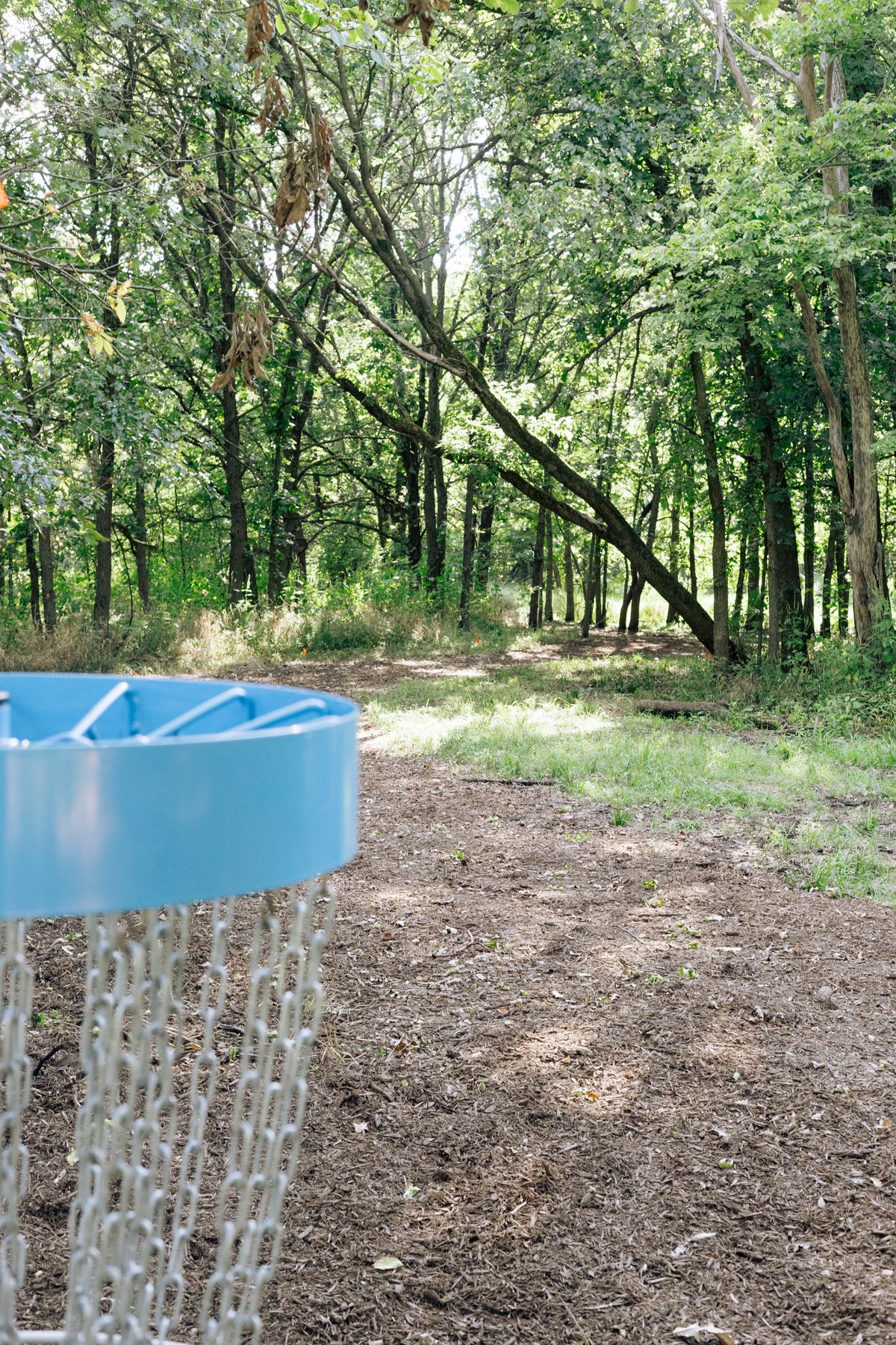 Hole 4