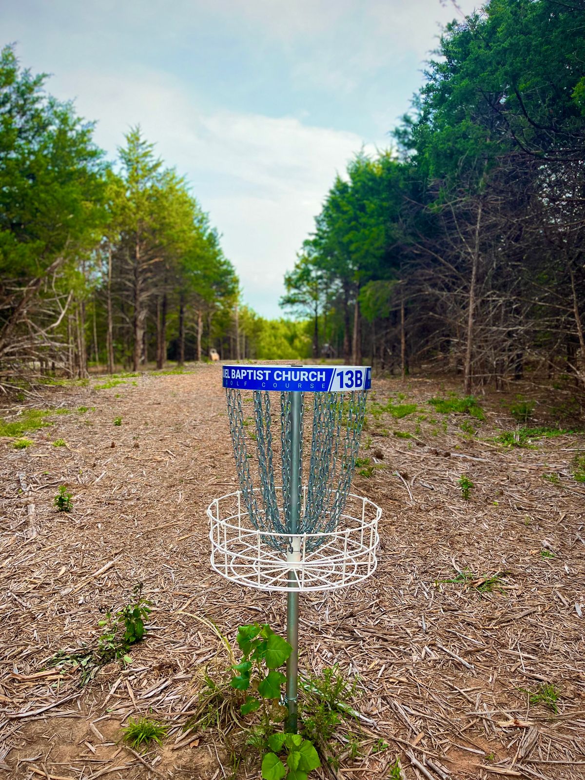 Long basket