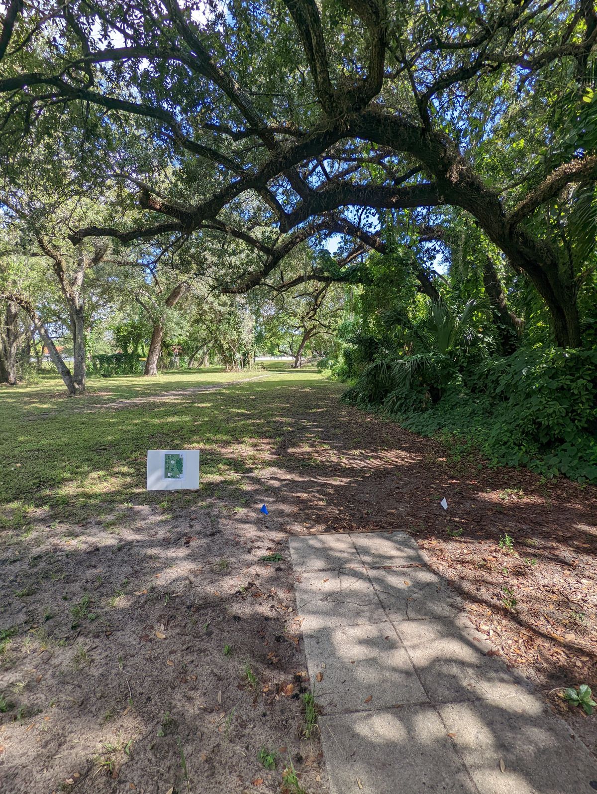 Hole 15