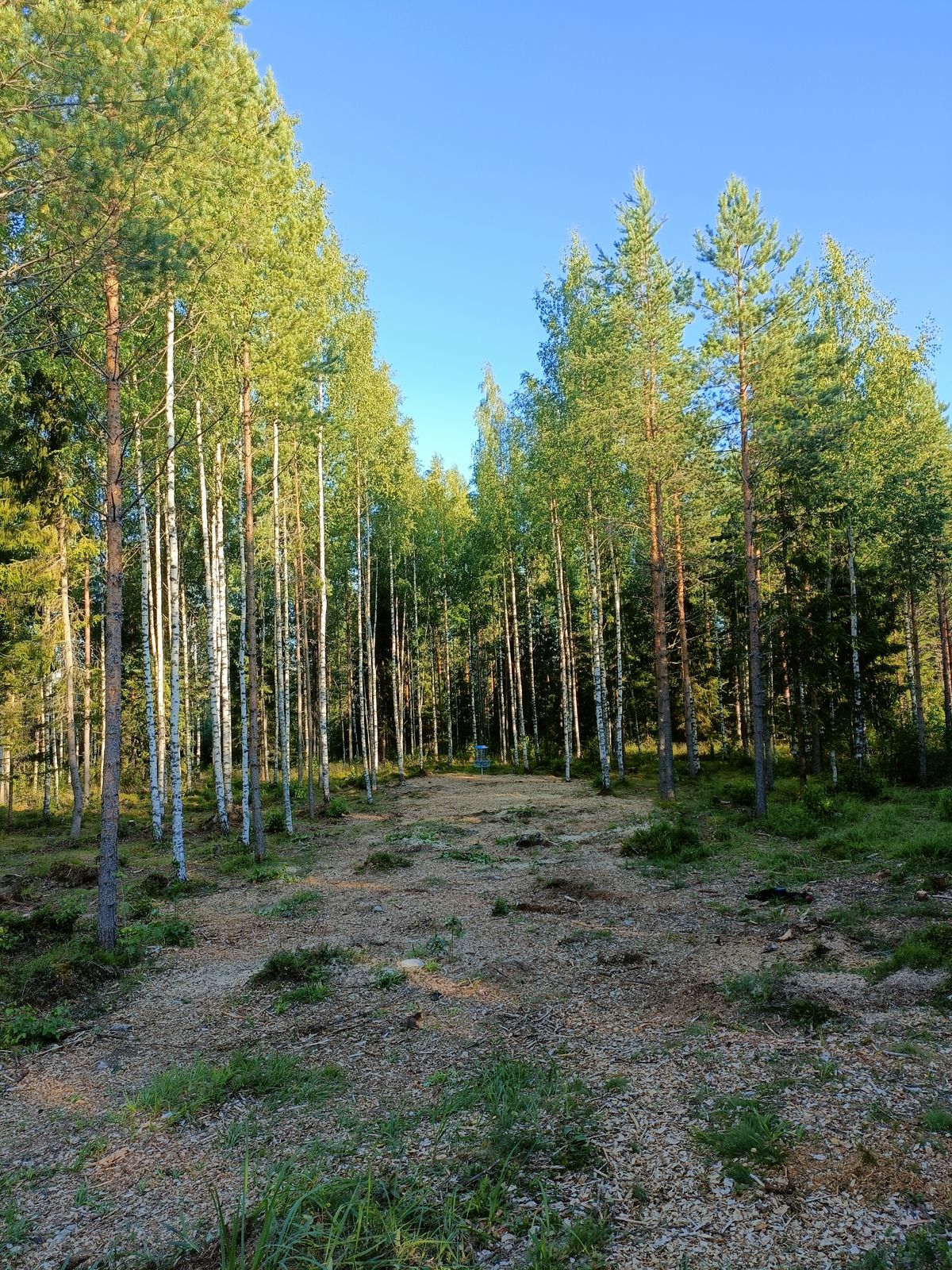Väylä 6.